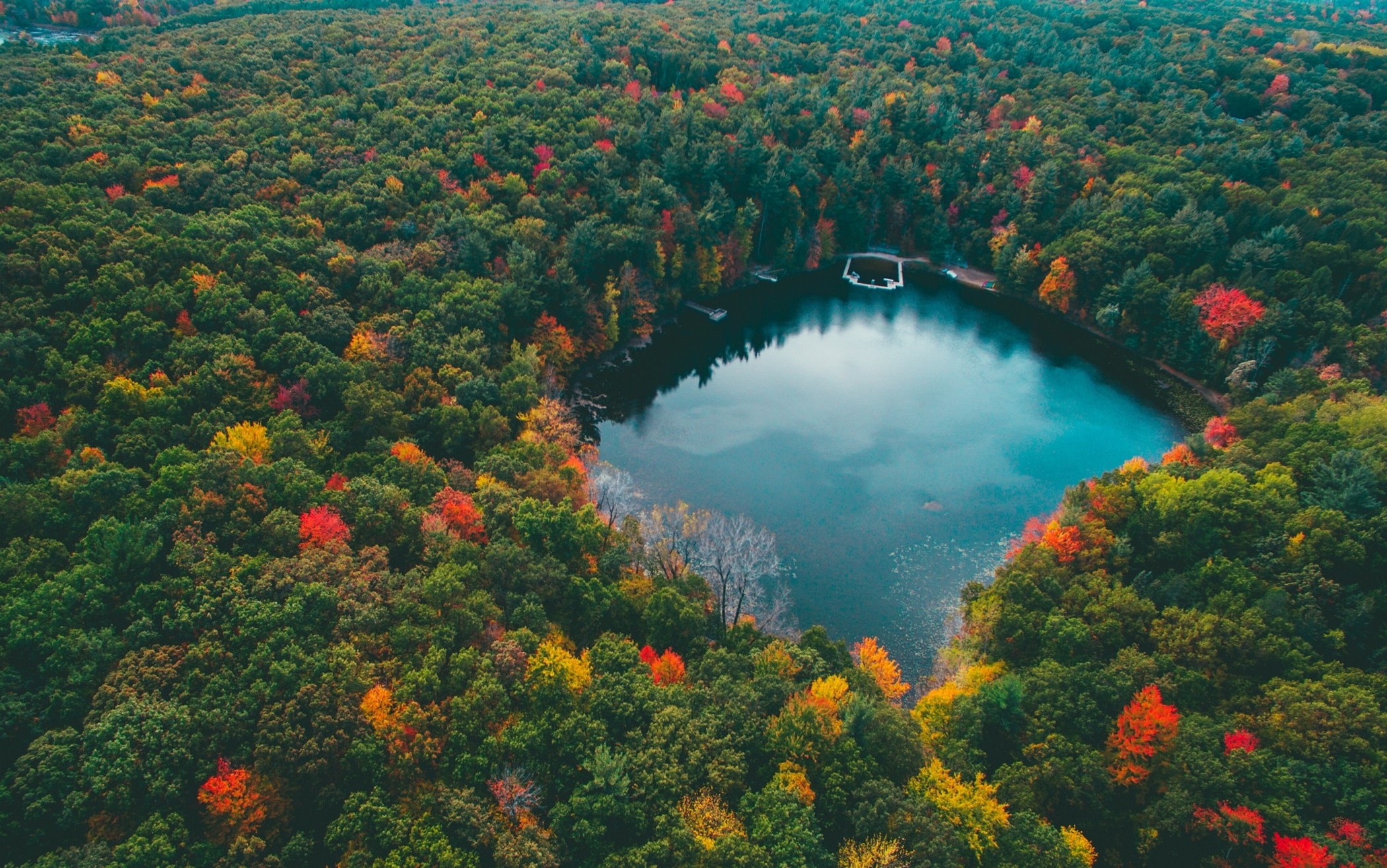 Forest Landscape Hd Aerial View Wallpapers