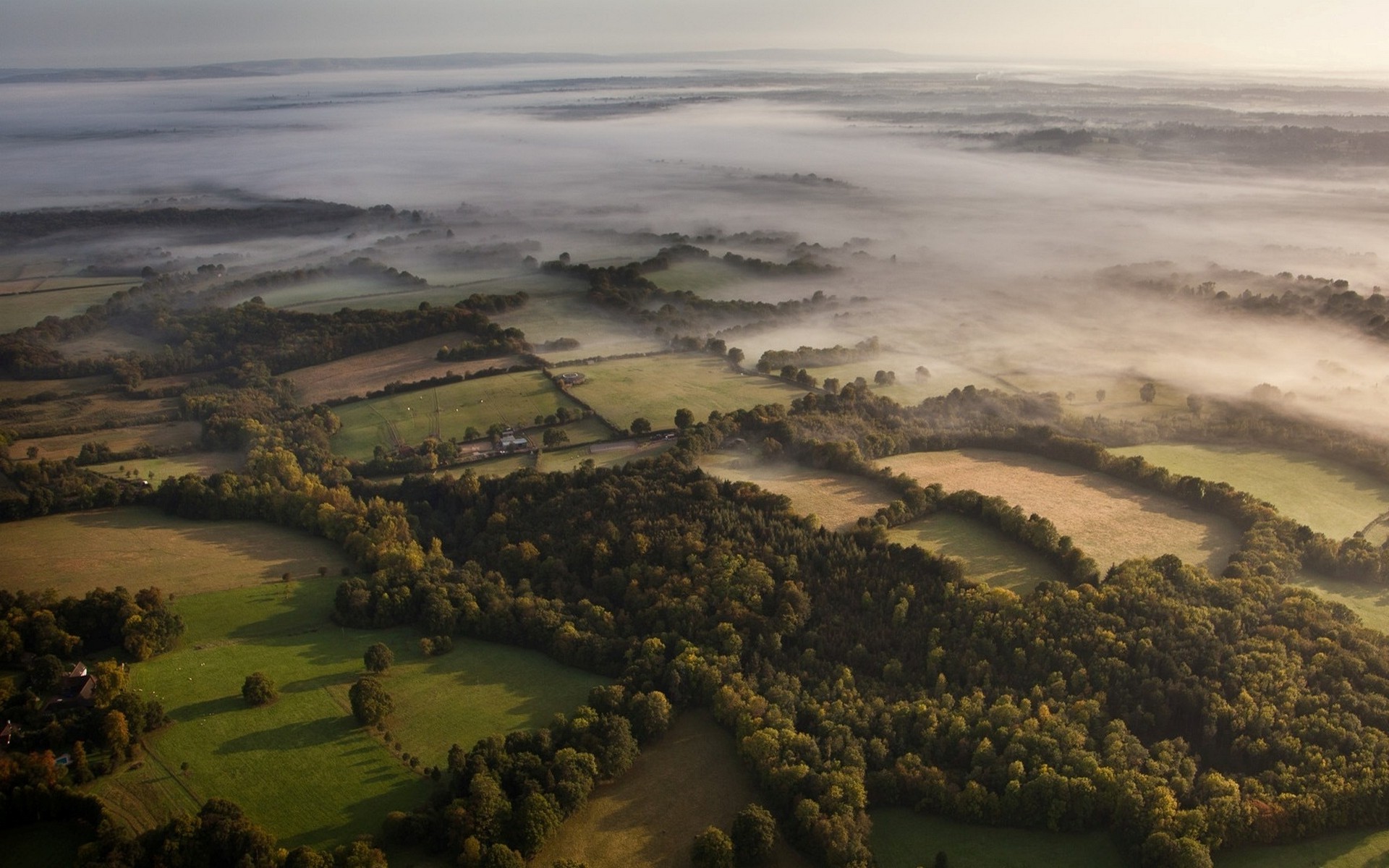 Forest Landscape Hd Aerial View Wallpapers