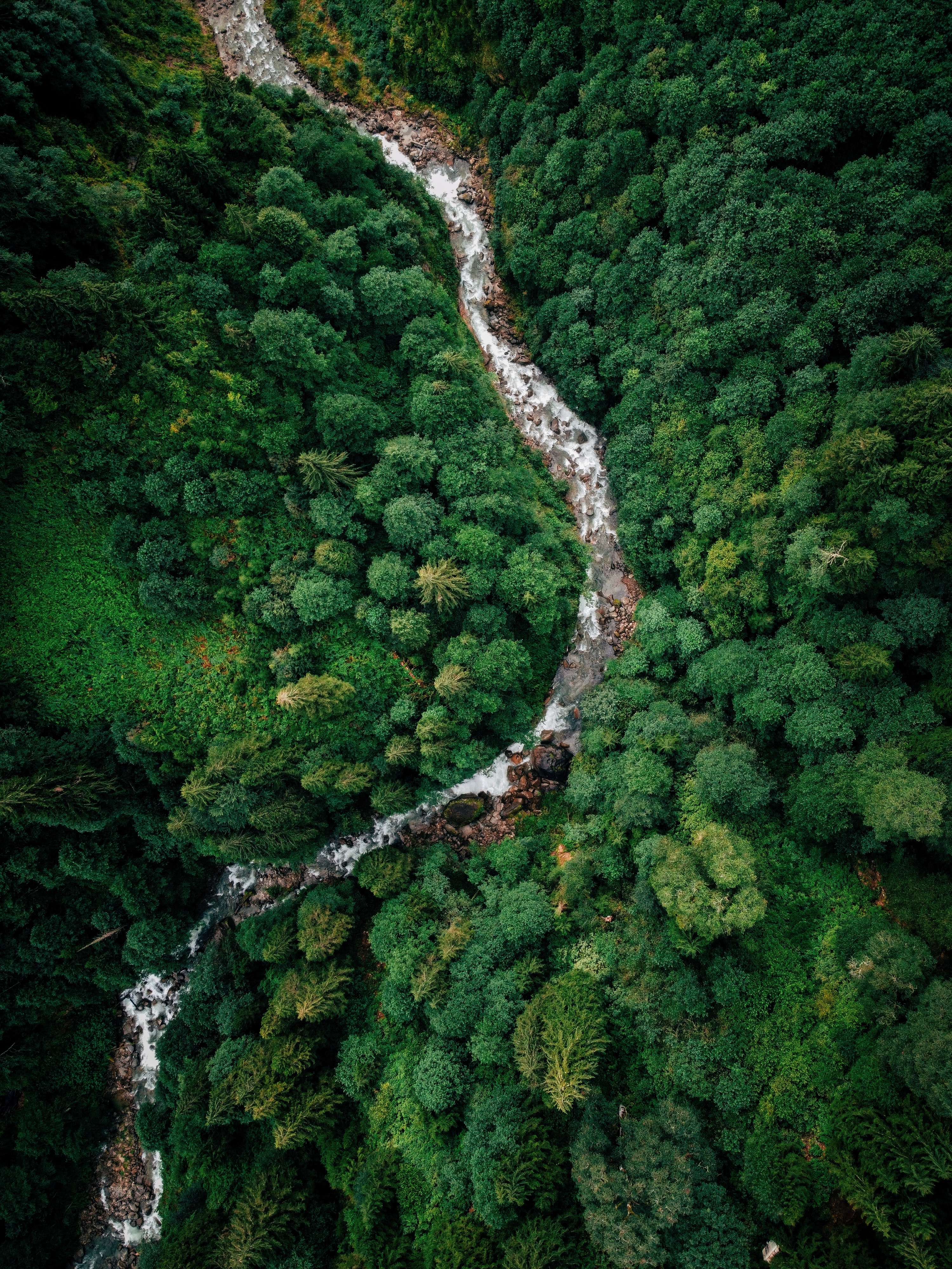 Forest Landscape Hd Aerial View Wallpapers