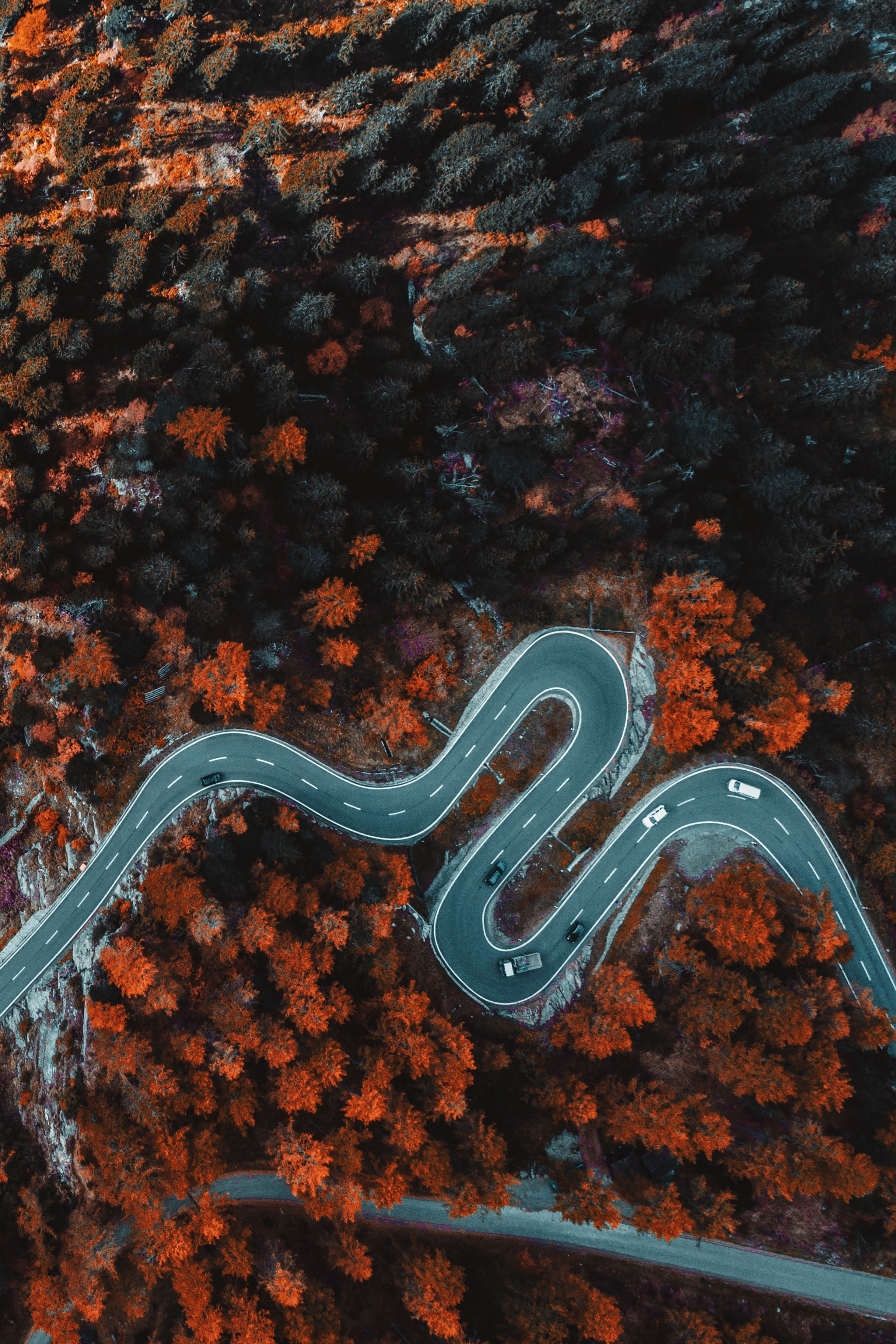 Forest Road Photography Aerial 4K Wallpapers
