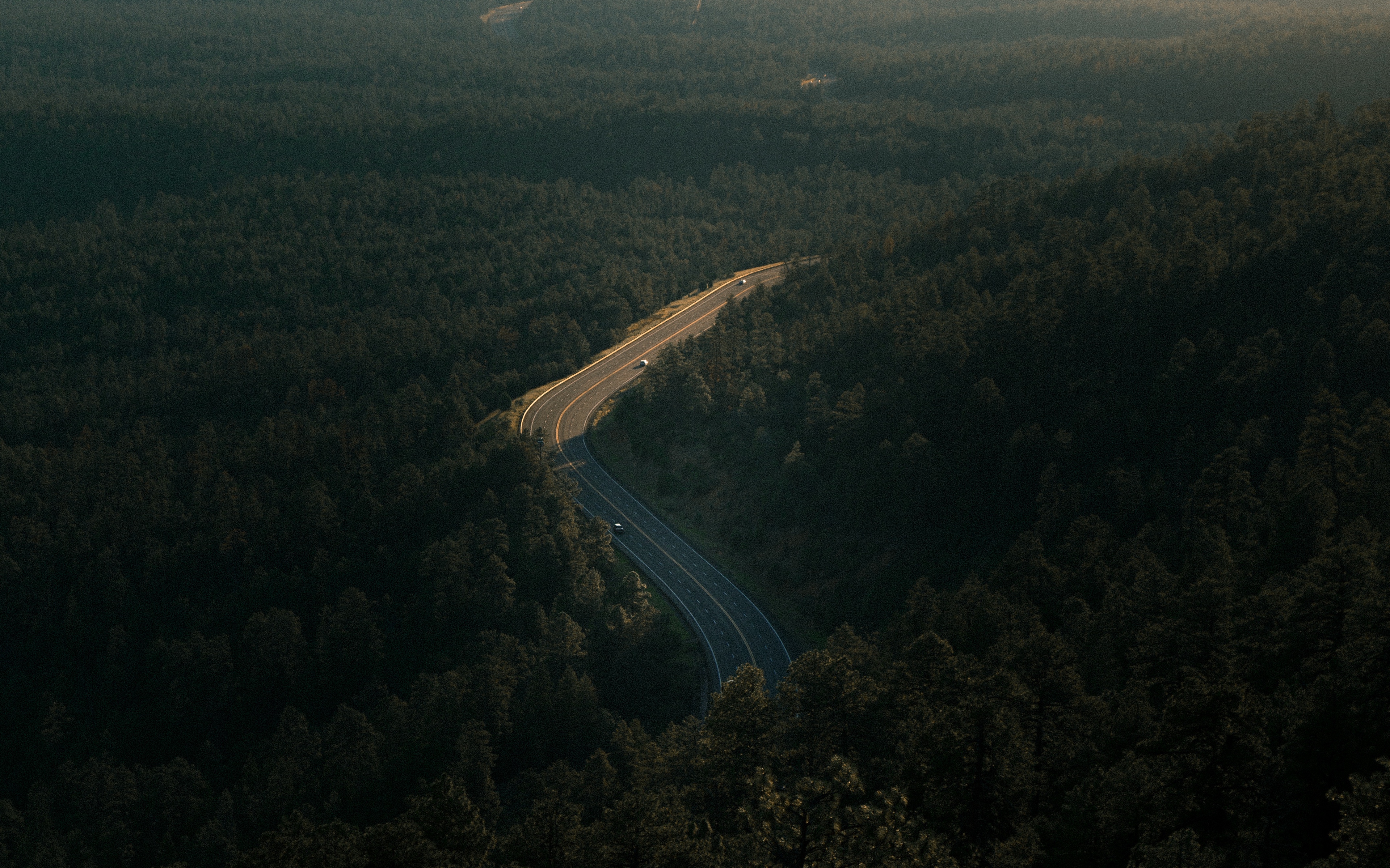 Forest Road Photography Aerial 4K Wallpapers