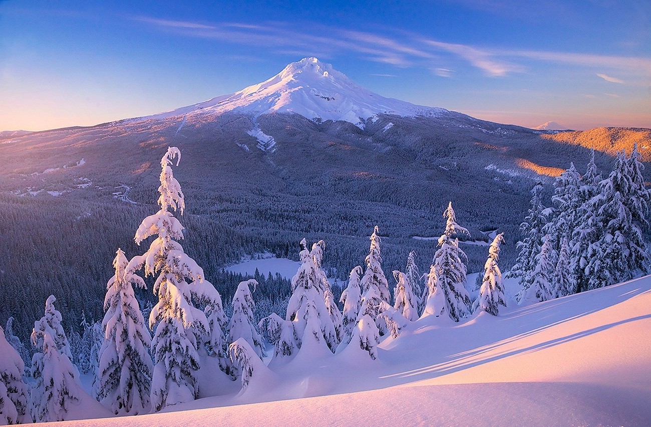 Forest Snowy Winter Mountains Wallpapers