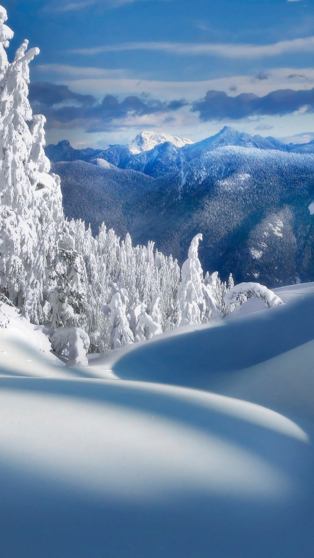 Forest Snowy Winter Mountains Wallpapers