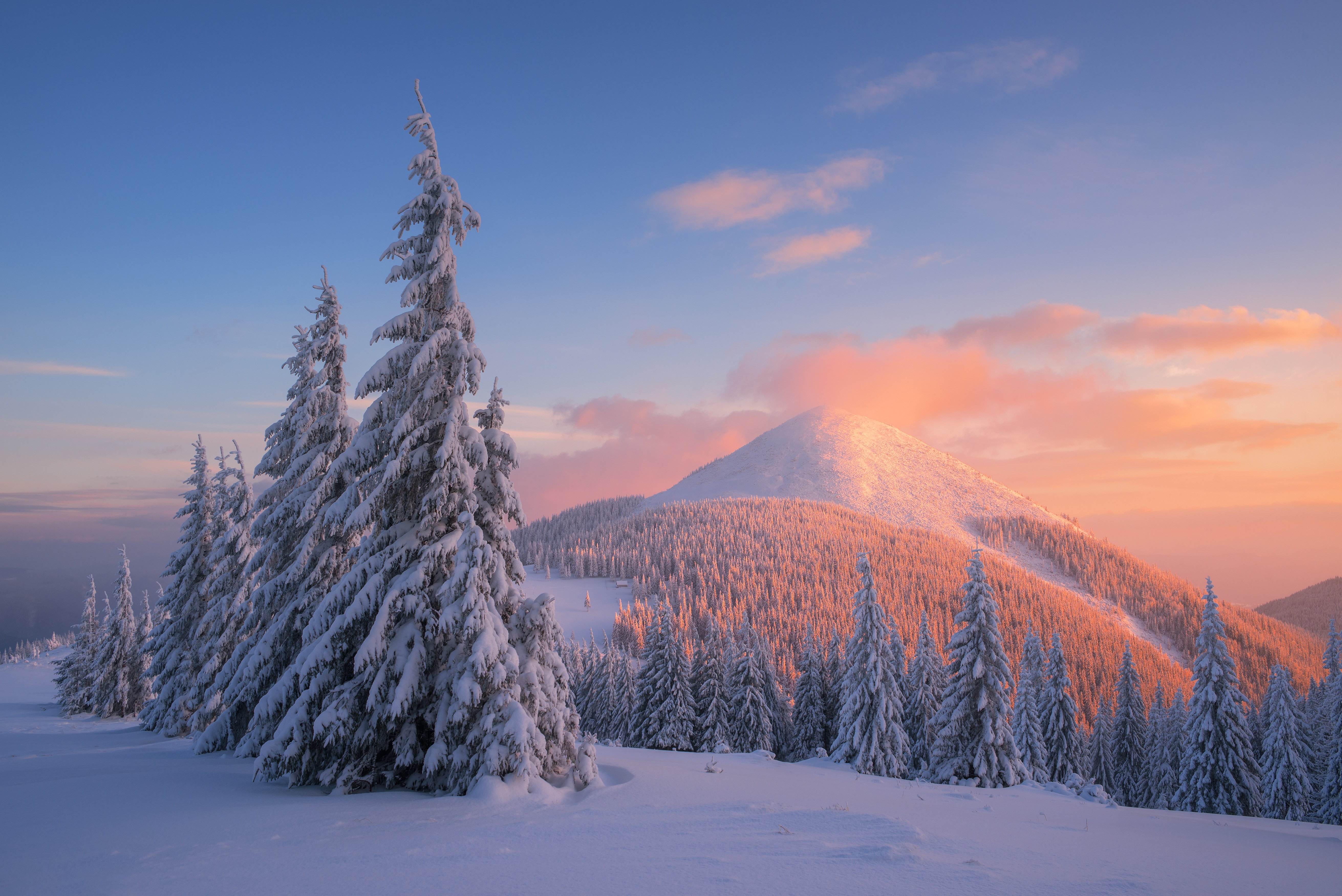 Forest Snowy Winter Mountains Wallpapers