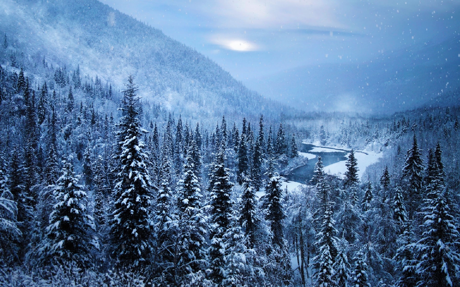 Forest Snowy Winter Mountains Wallpapers