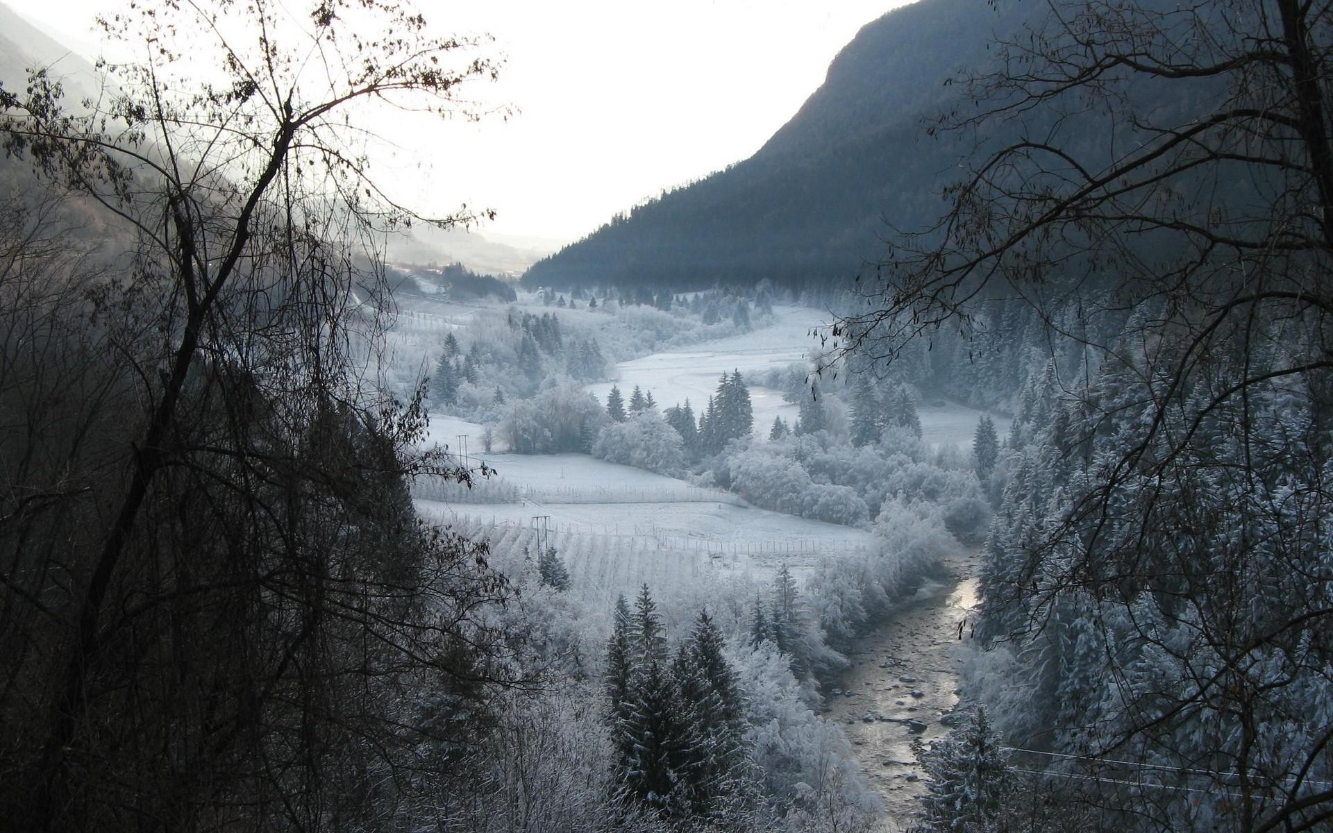 Forest Snowy Winter Mountains Wallpapers