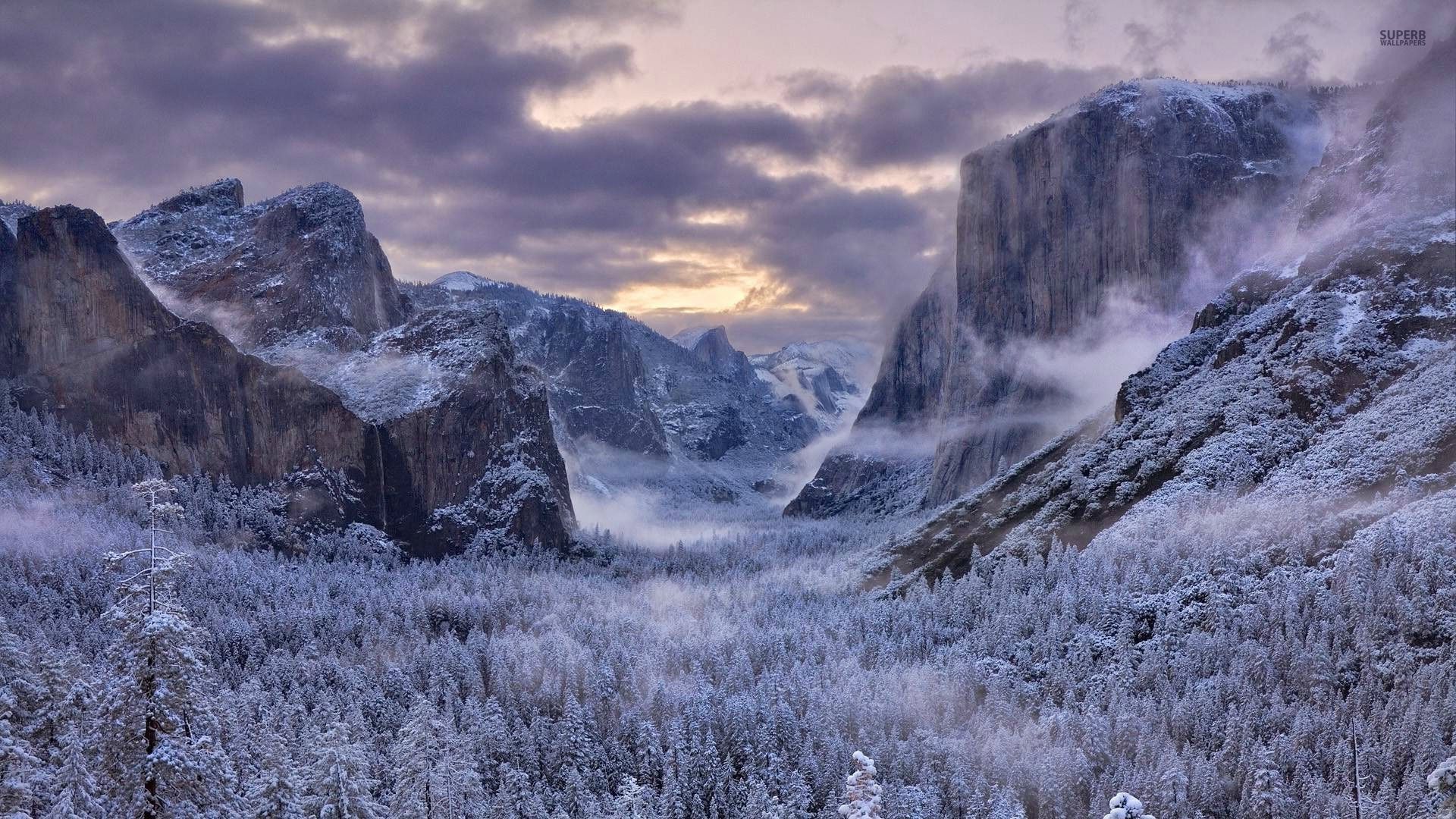 Forest Snowy Winter Mountains Wallpapers