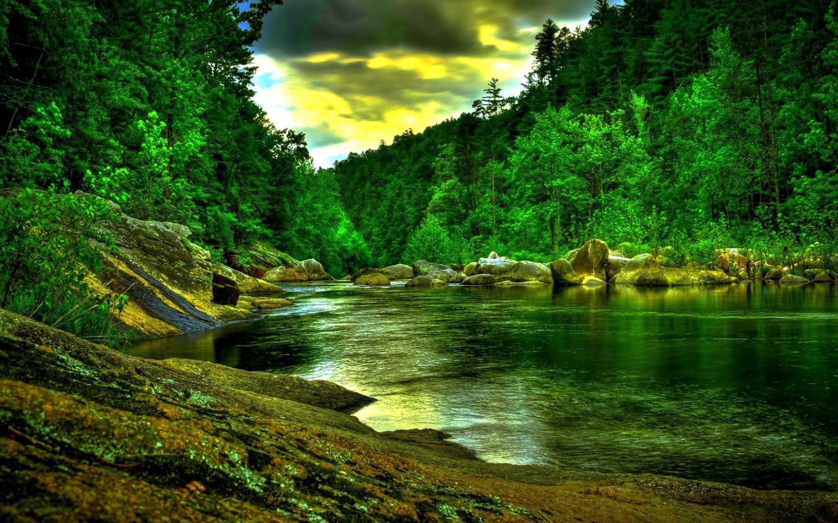 Forests Beautiful Landscape Wallpapers