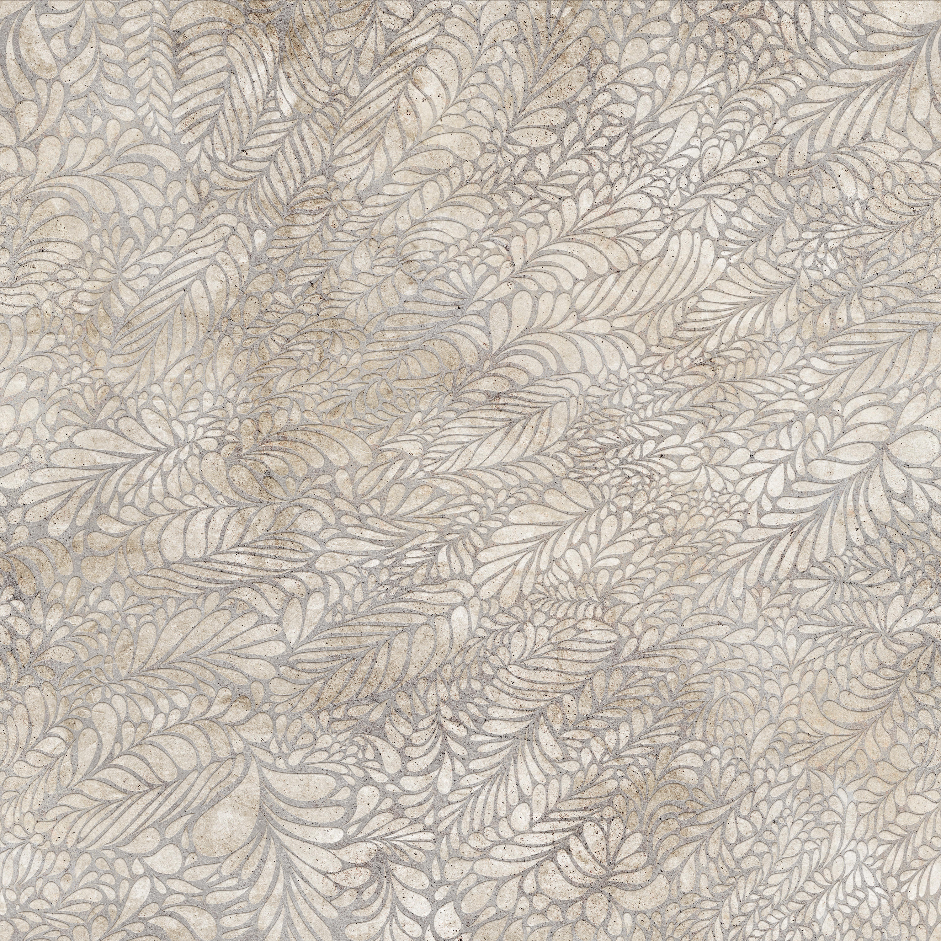 Fossil Wallpapers