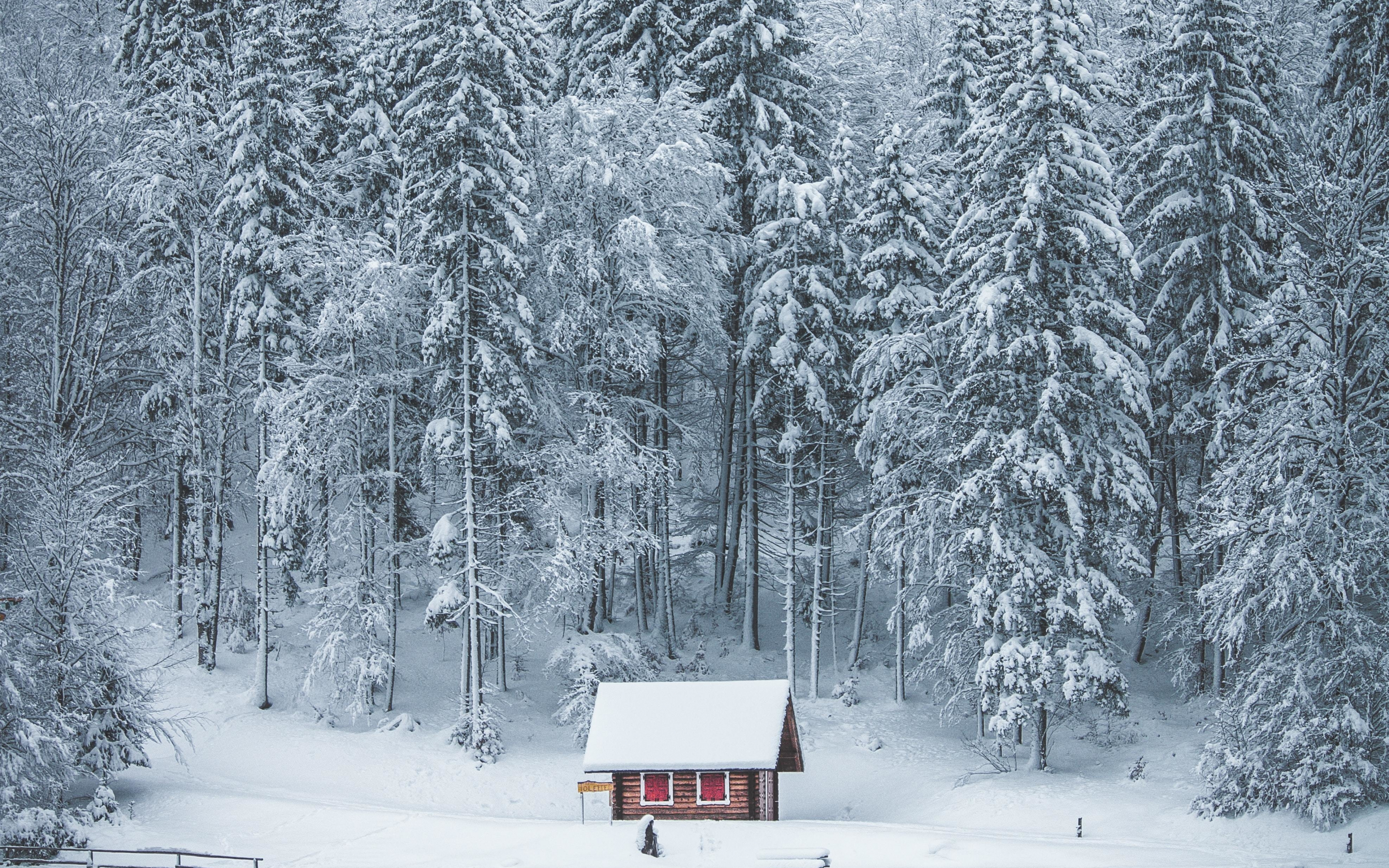 Frozen Winter House Wallpapers