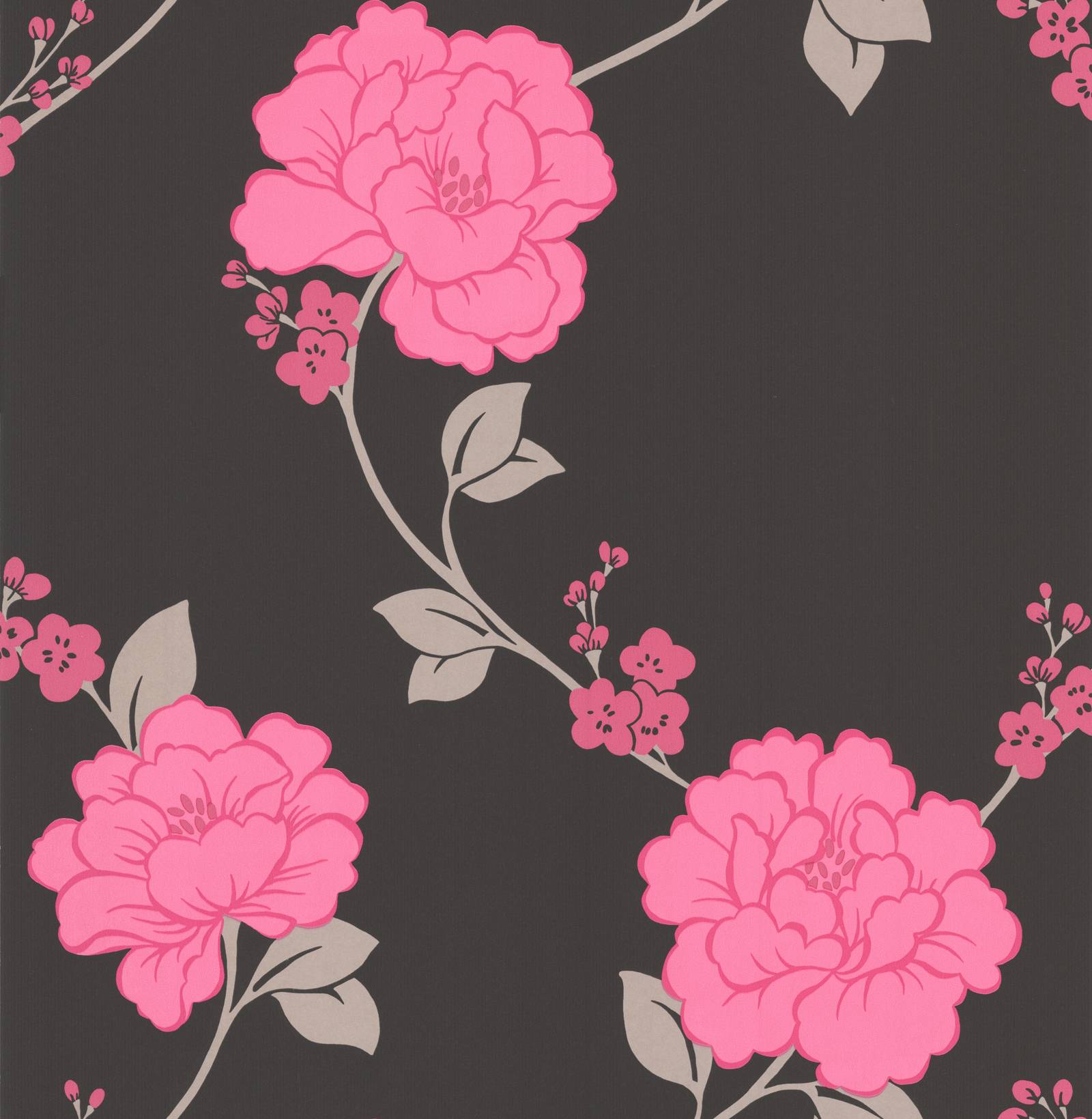 Fuchsia Wallpapers