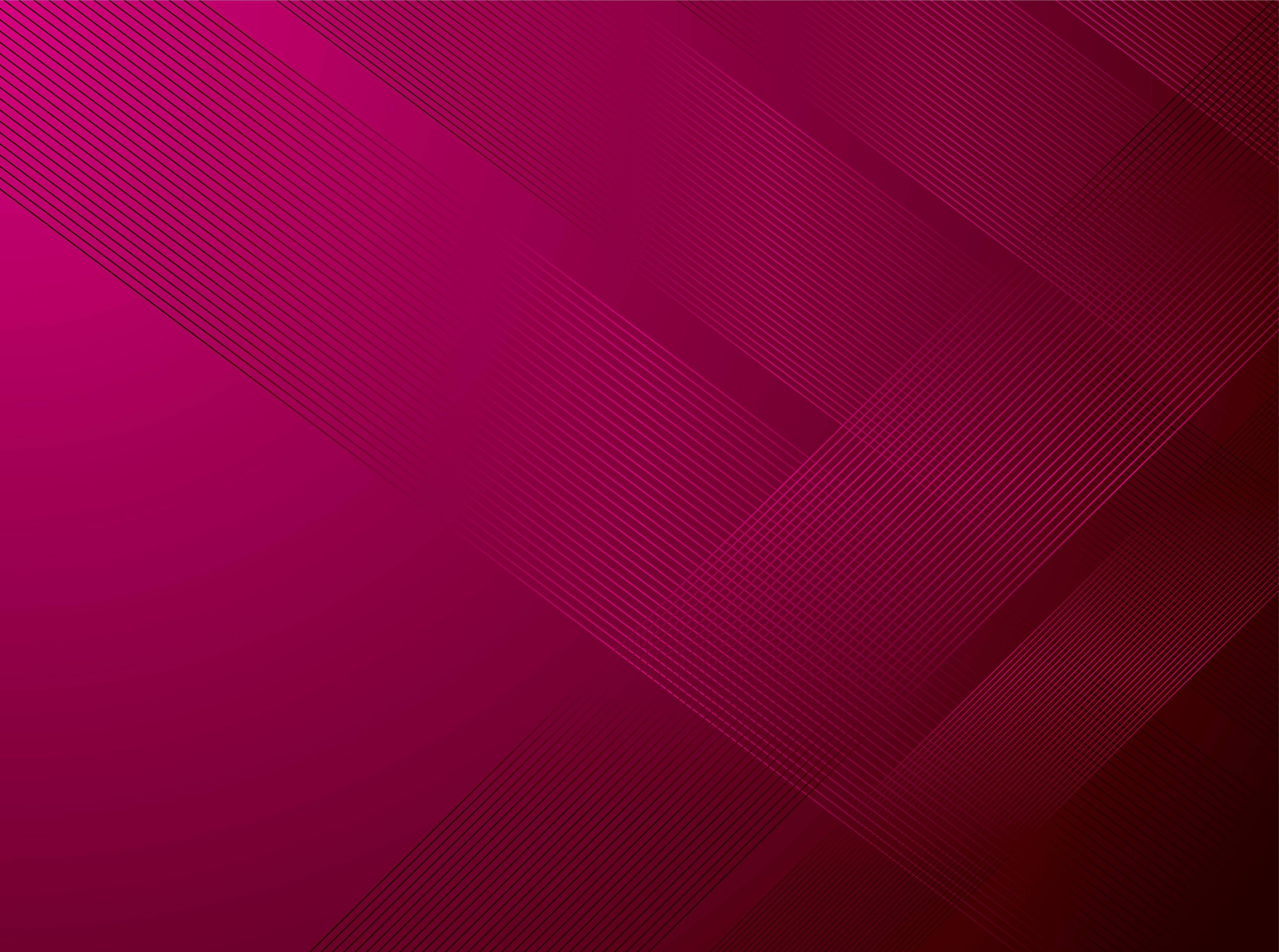 Fuchsia Wallpapers