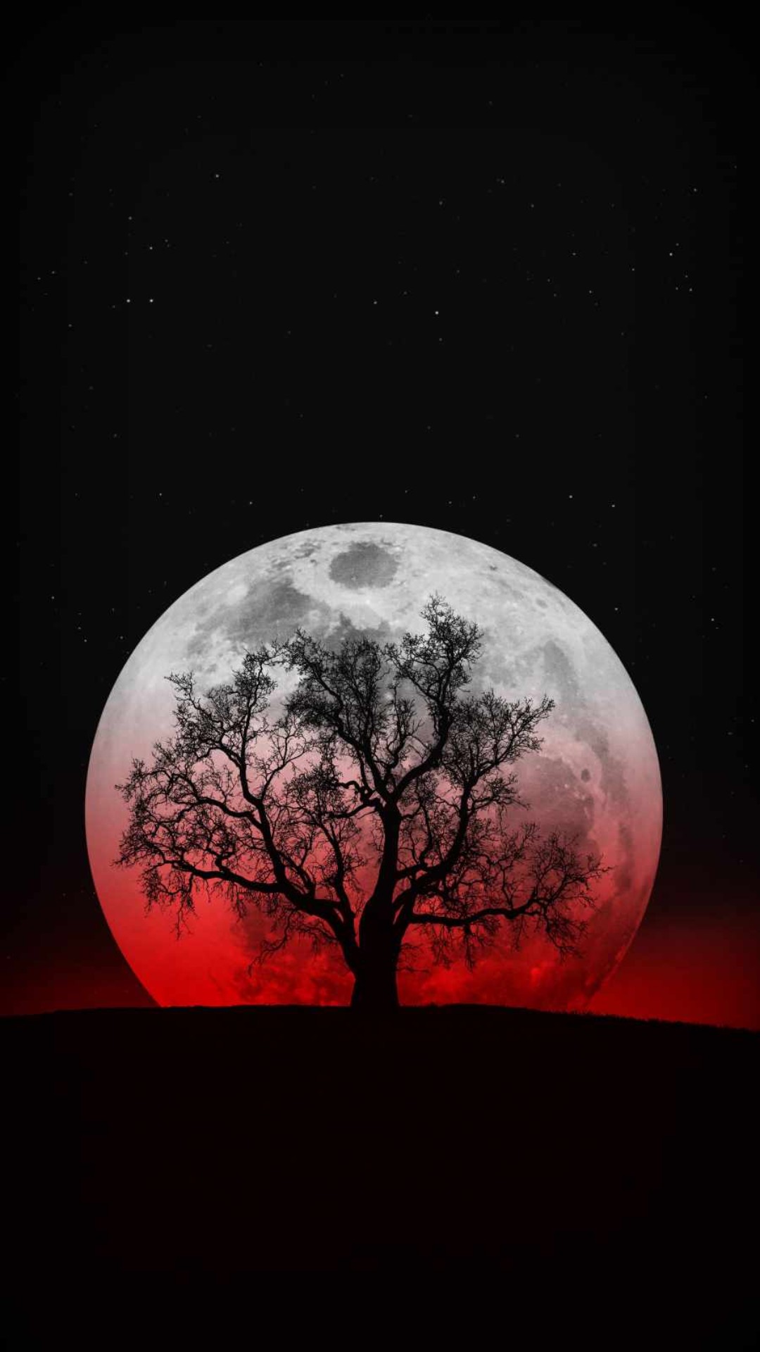 Full Moon Wallpapers