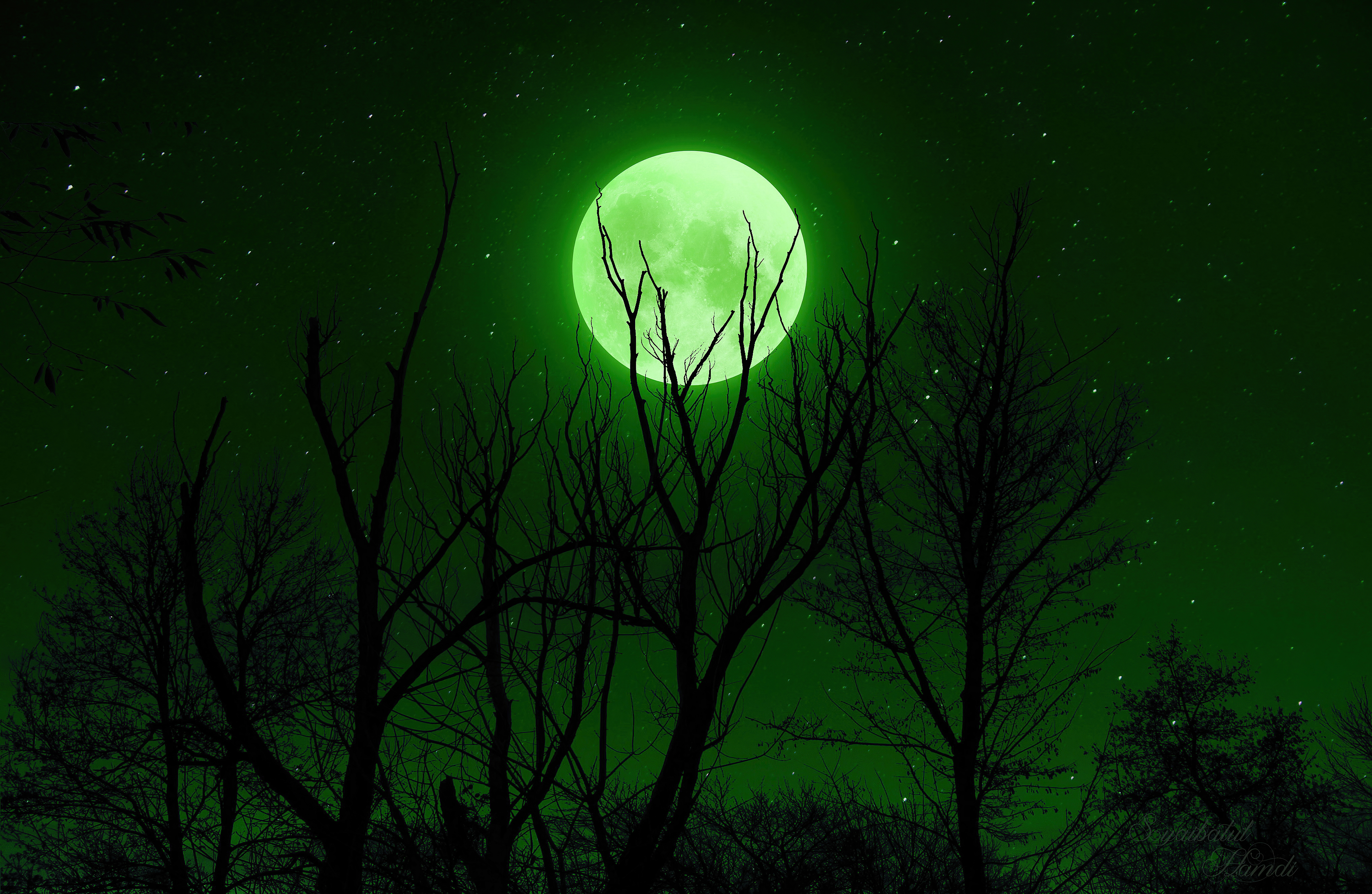 Full Moon Night 5K Wallpapers