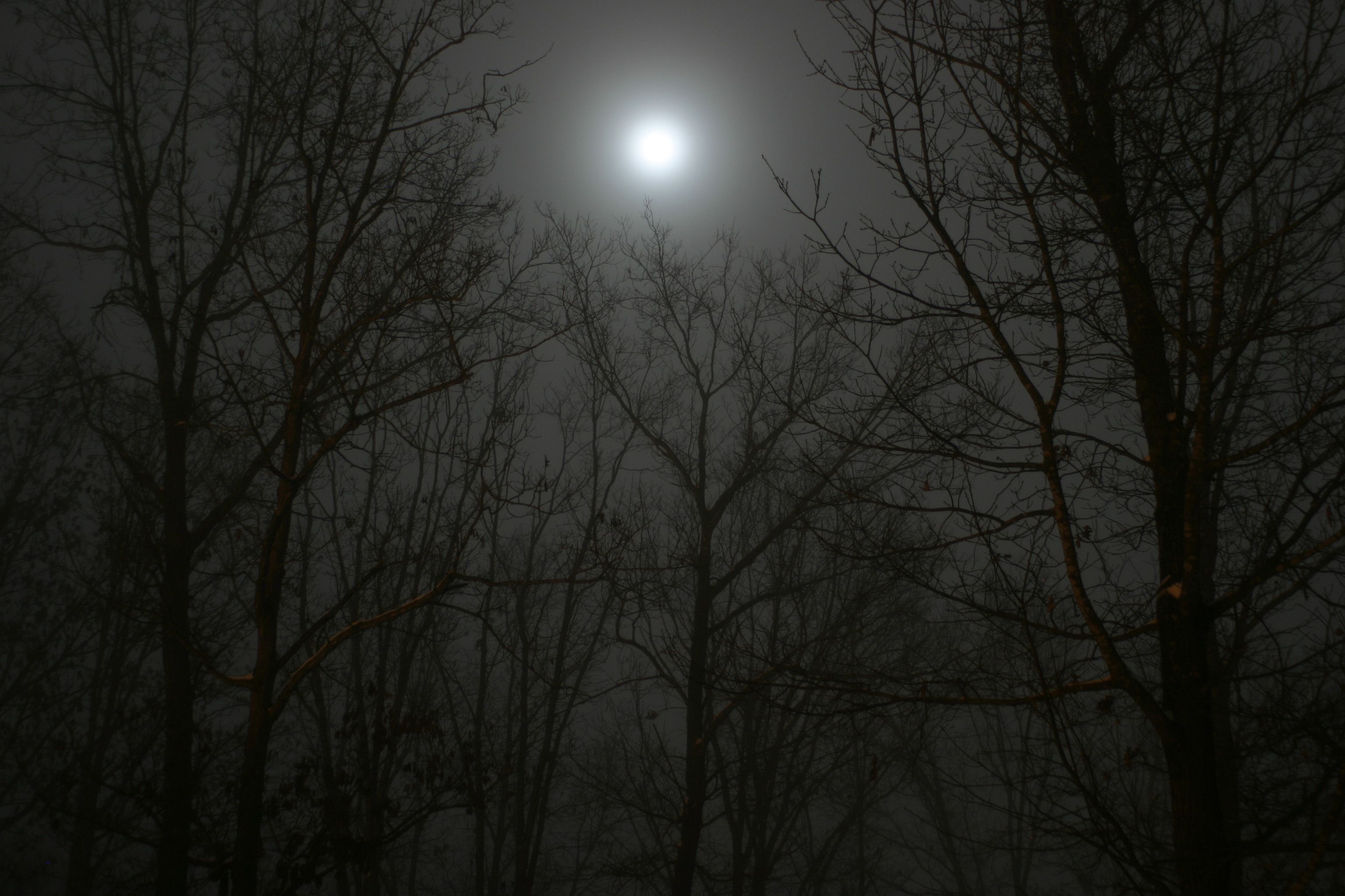 Full Moon On Foggy Night Wallpapers