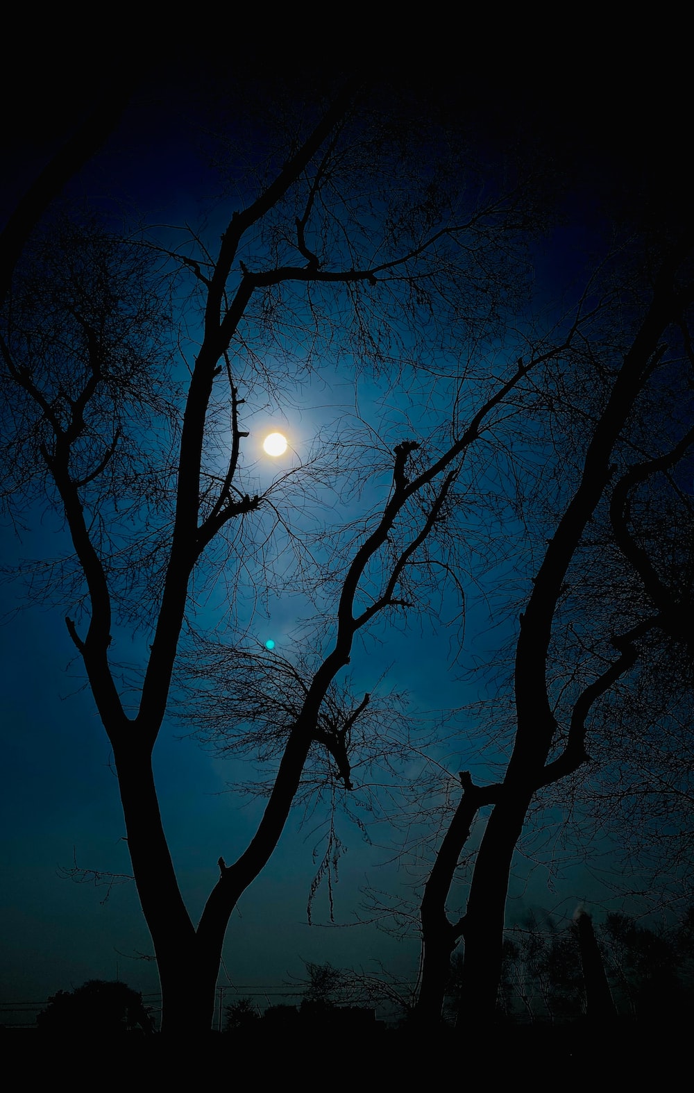 Full Moon On Foggy Night Wallpapers