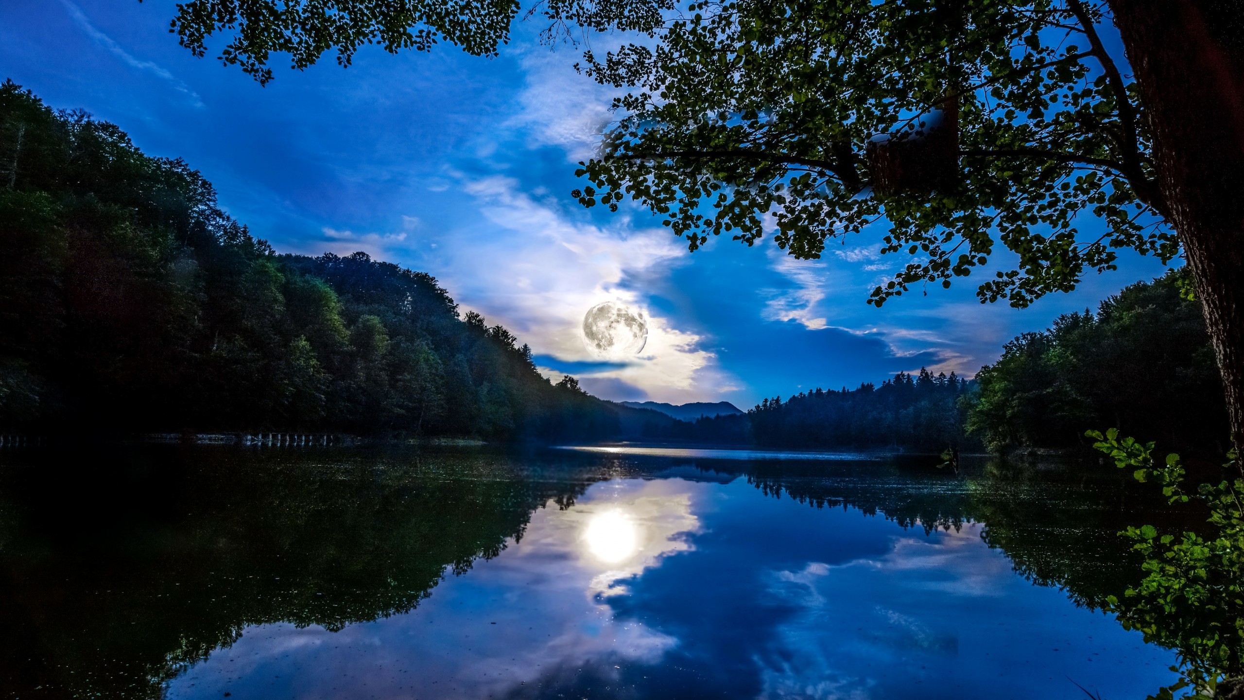 Full Moon Over Lakeside Cabin Wallpapers