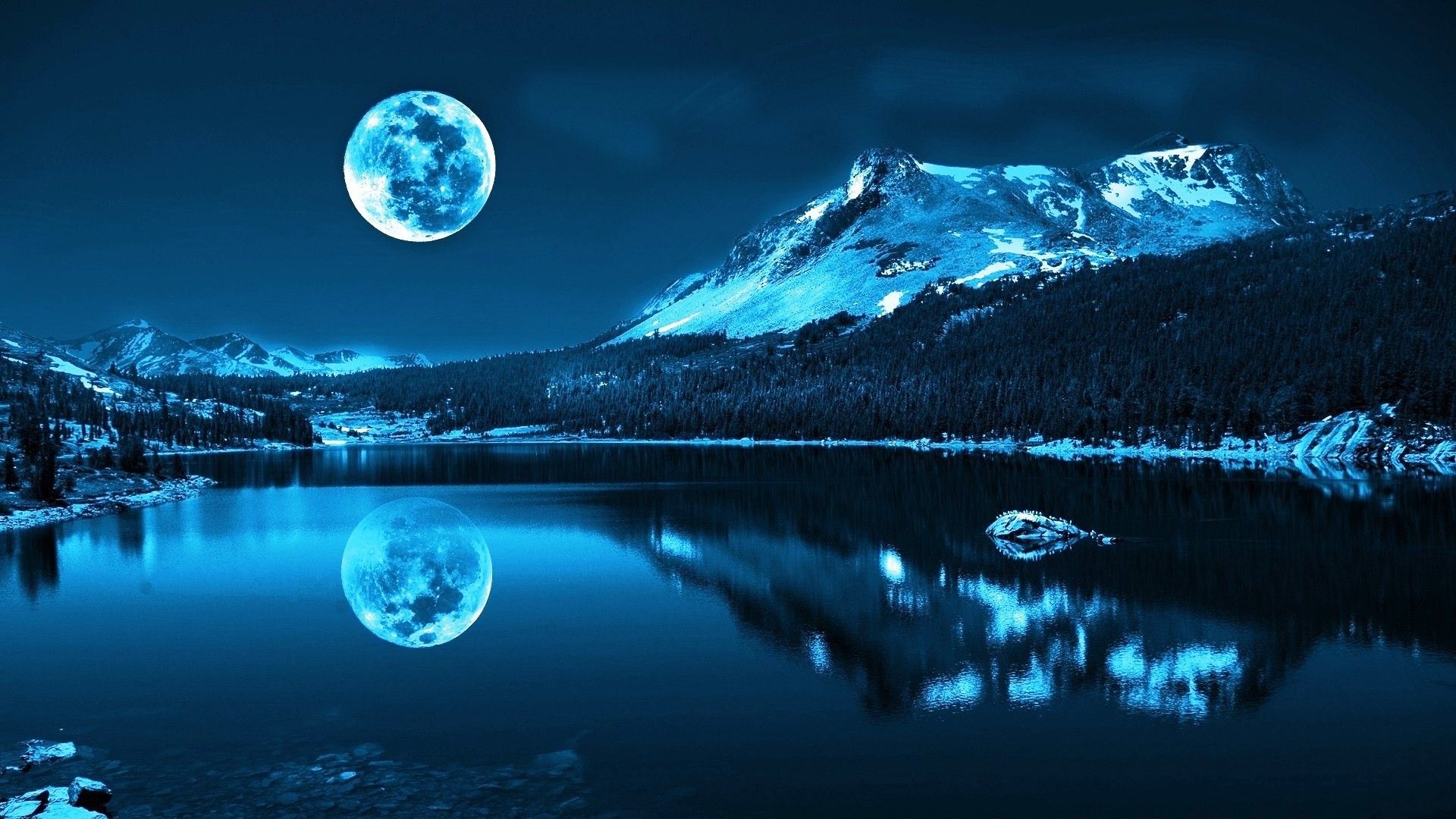 Full Moon Over Winter Forest Wallpapers