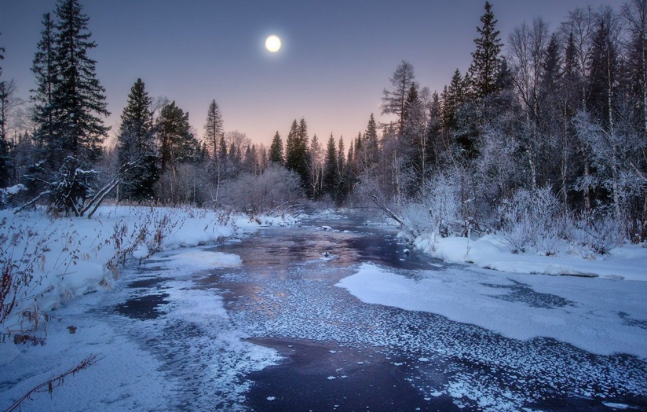 Full Moon Over Winter Forest Wallpapers