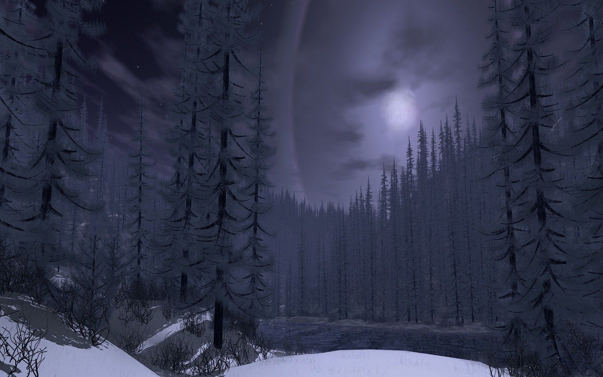 Full Moon Over Winter Forest Wallpapers