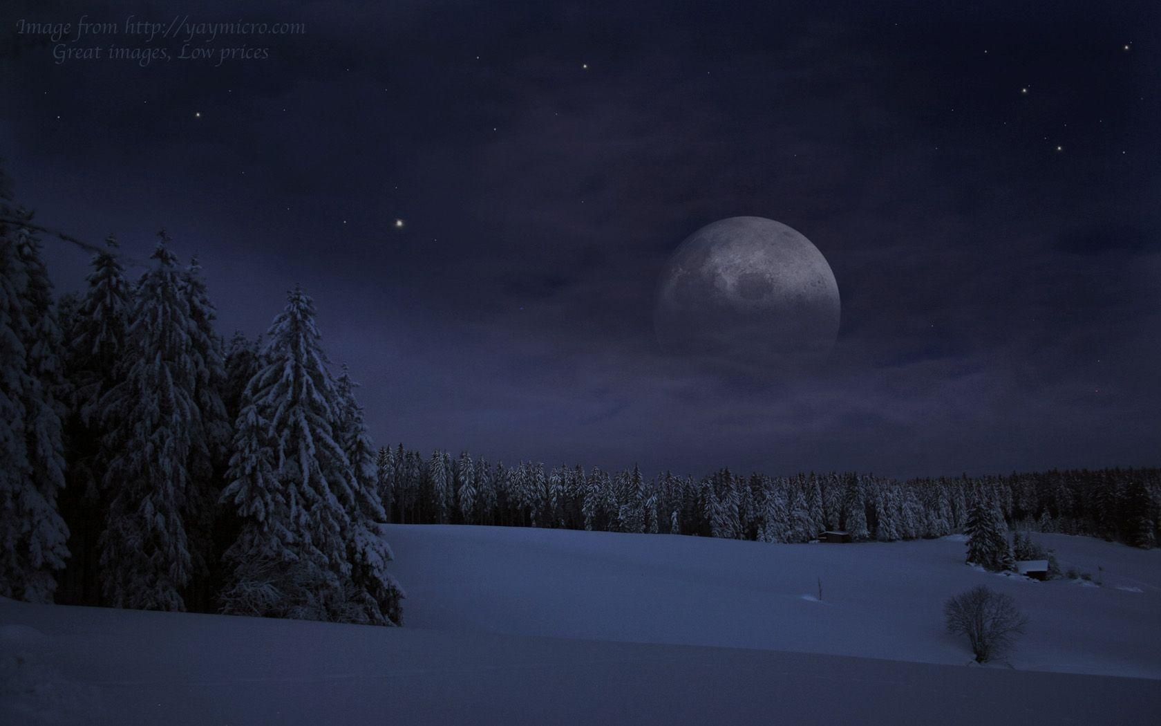 Full Moon Over Winter Forest Wallpapers