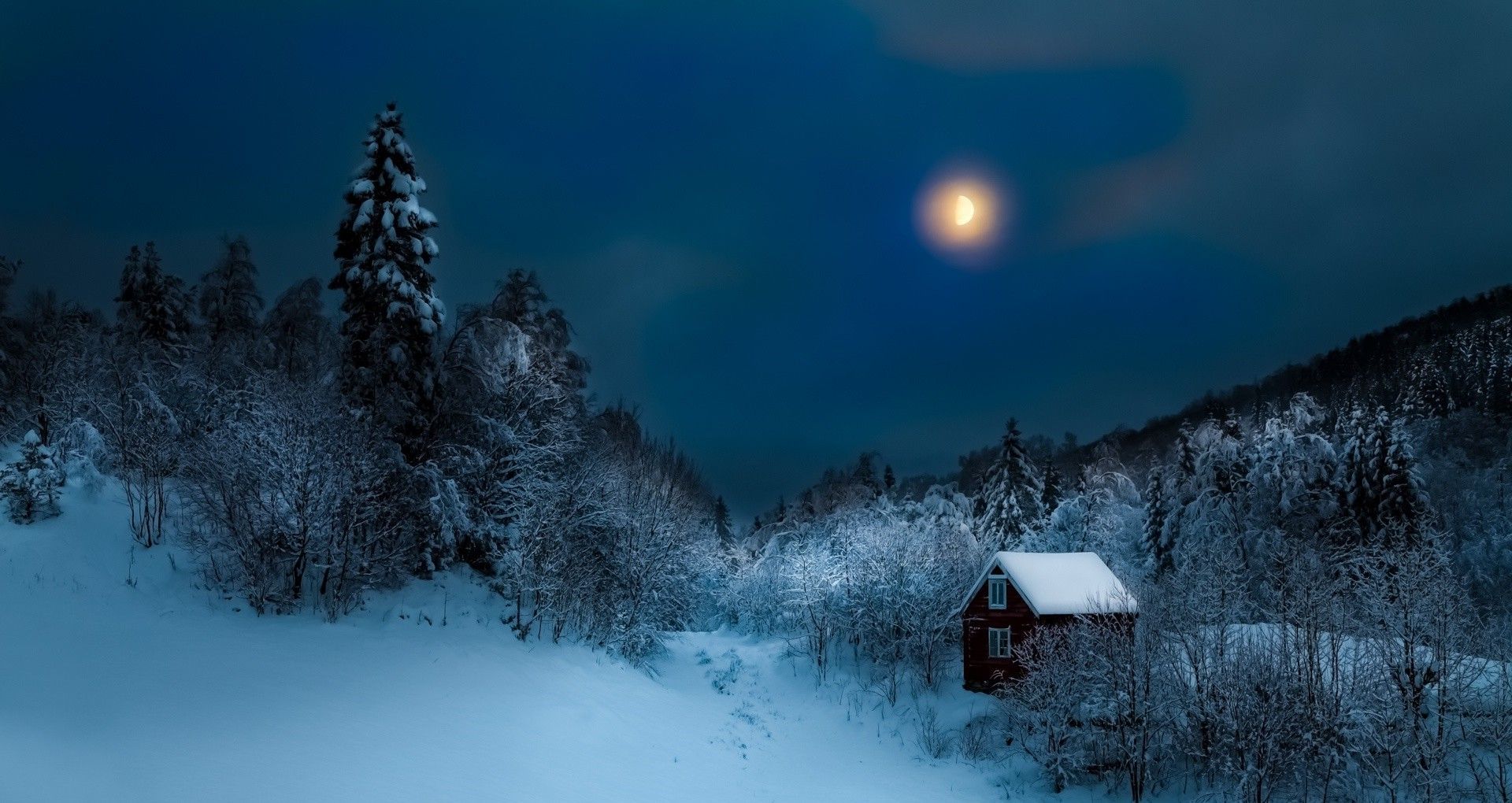 Full Moon Over Winter Forest Wallpapers