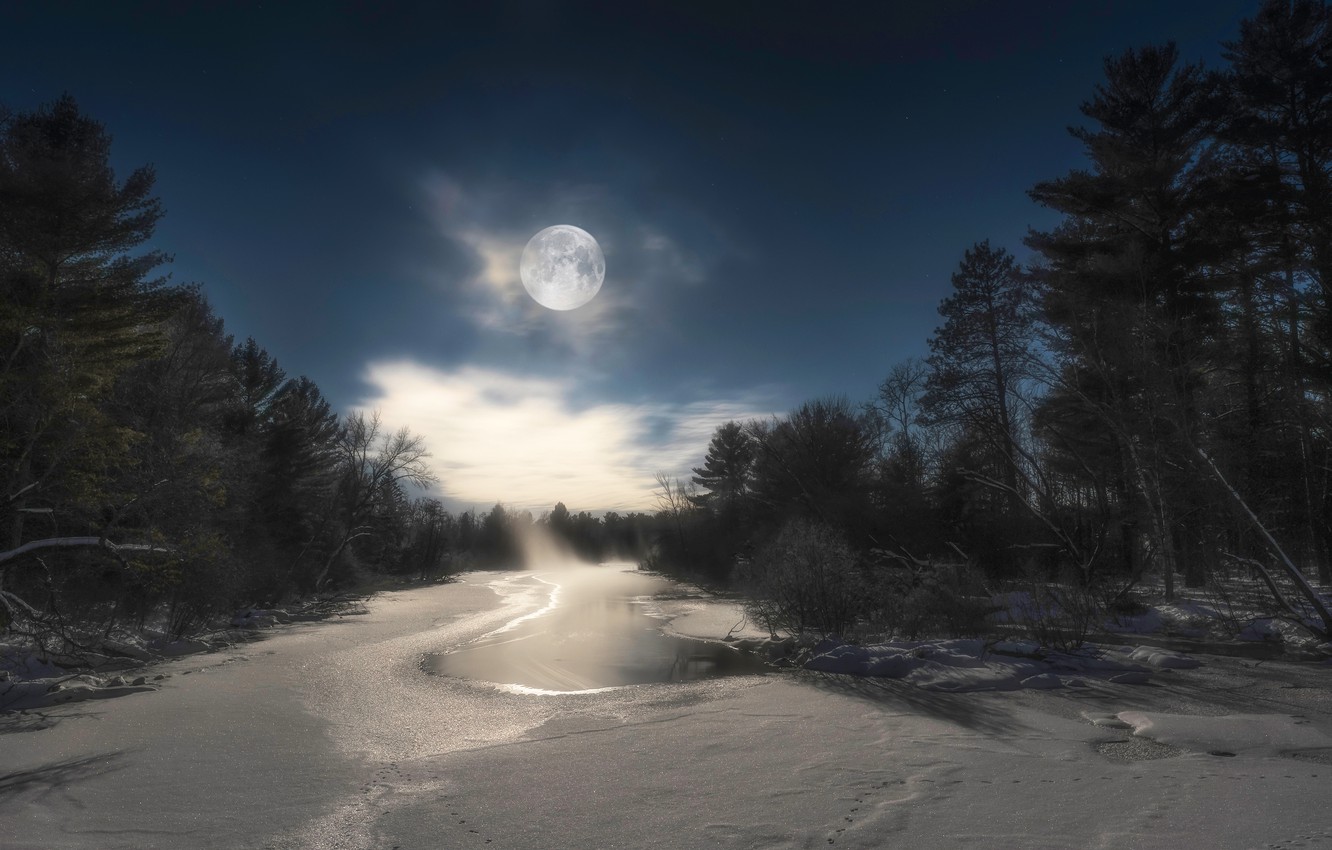 Full Moon Over Winter Forest Wallpapers