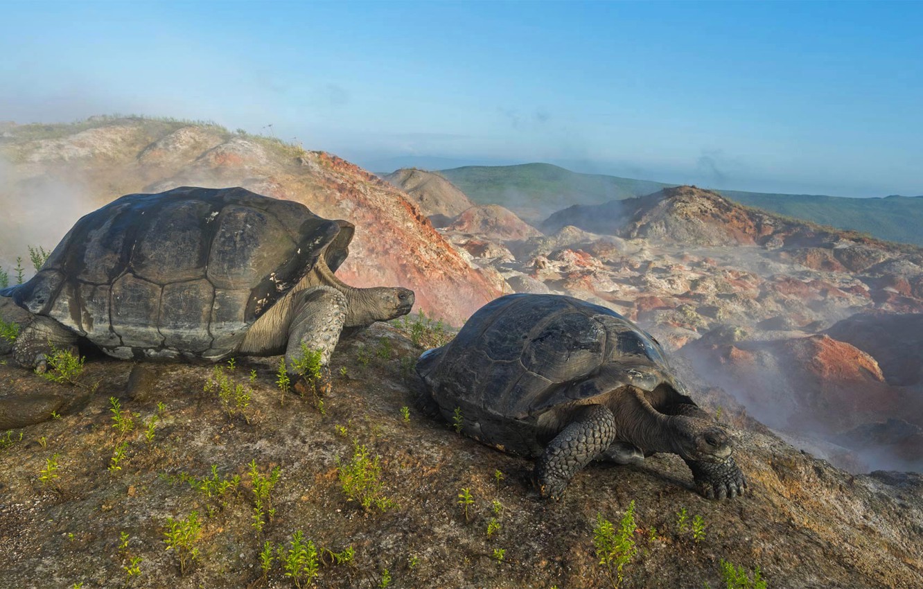 Galapagos Islands Wallpapers