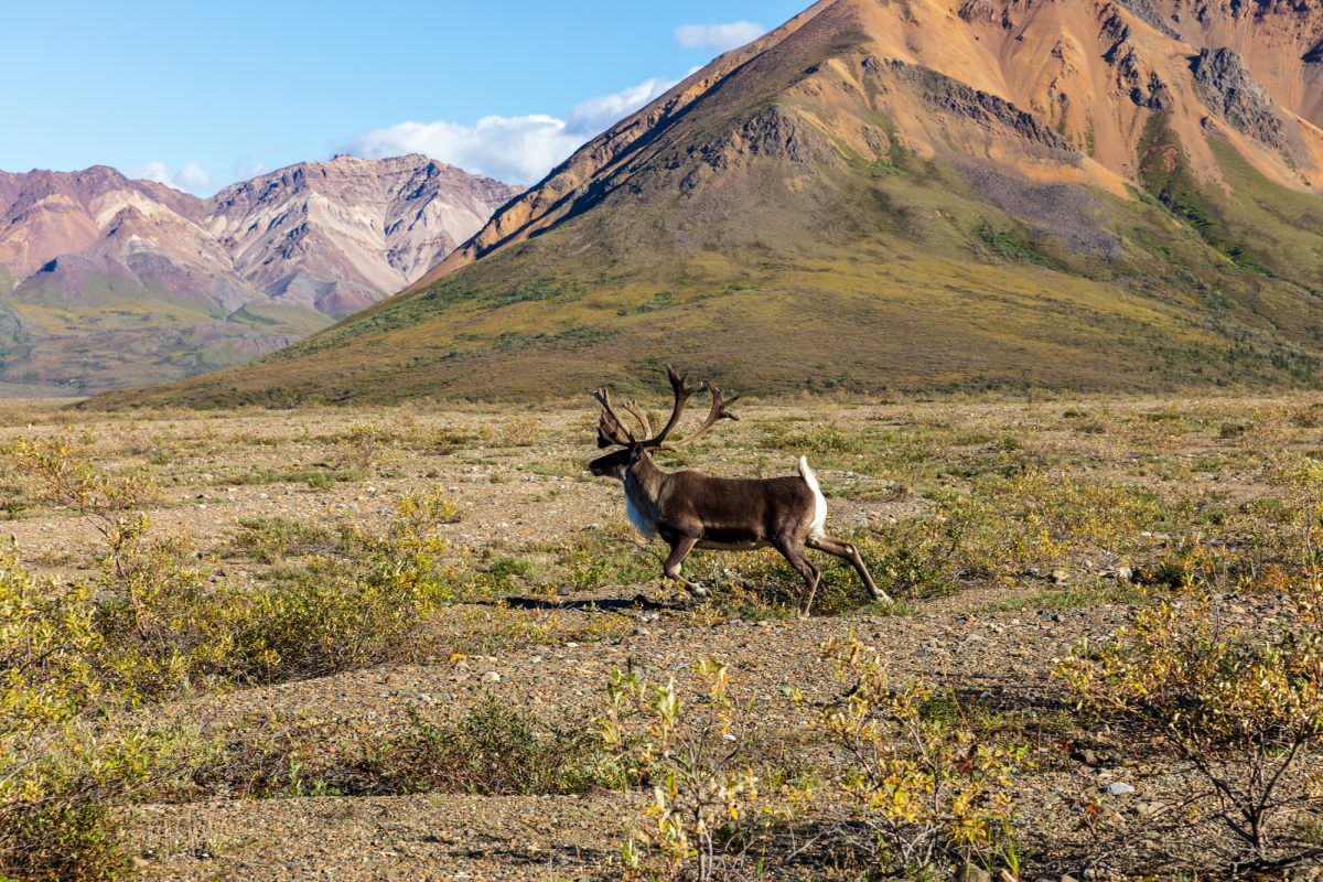 Gates Of The Arctic National Park And Preserve Wallpapers