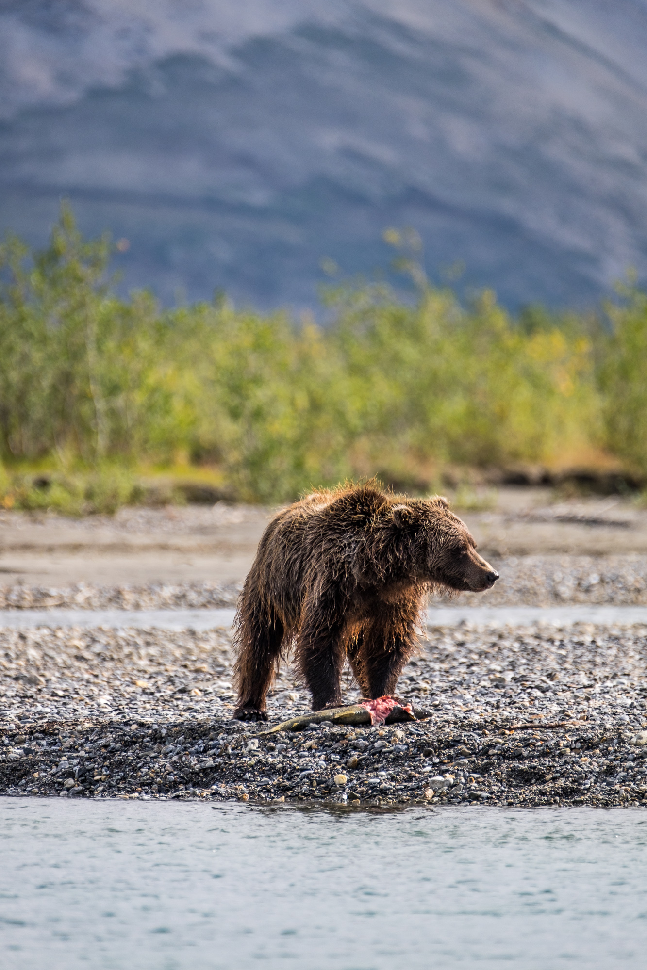 Gates Of The Arctic National Park And Preserve Wallpapers