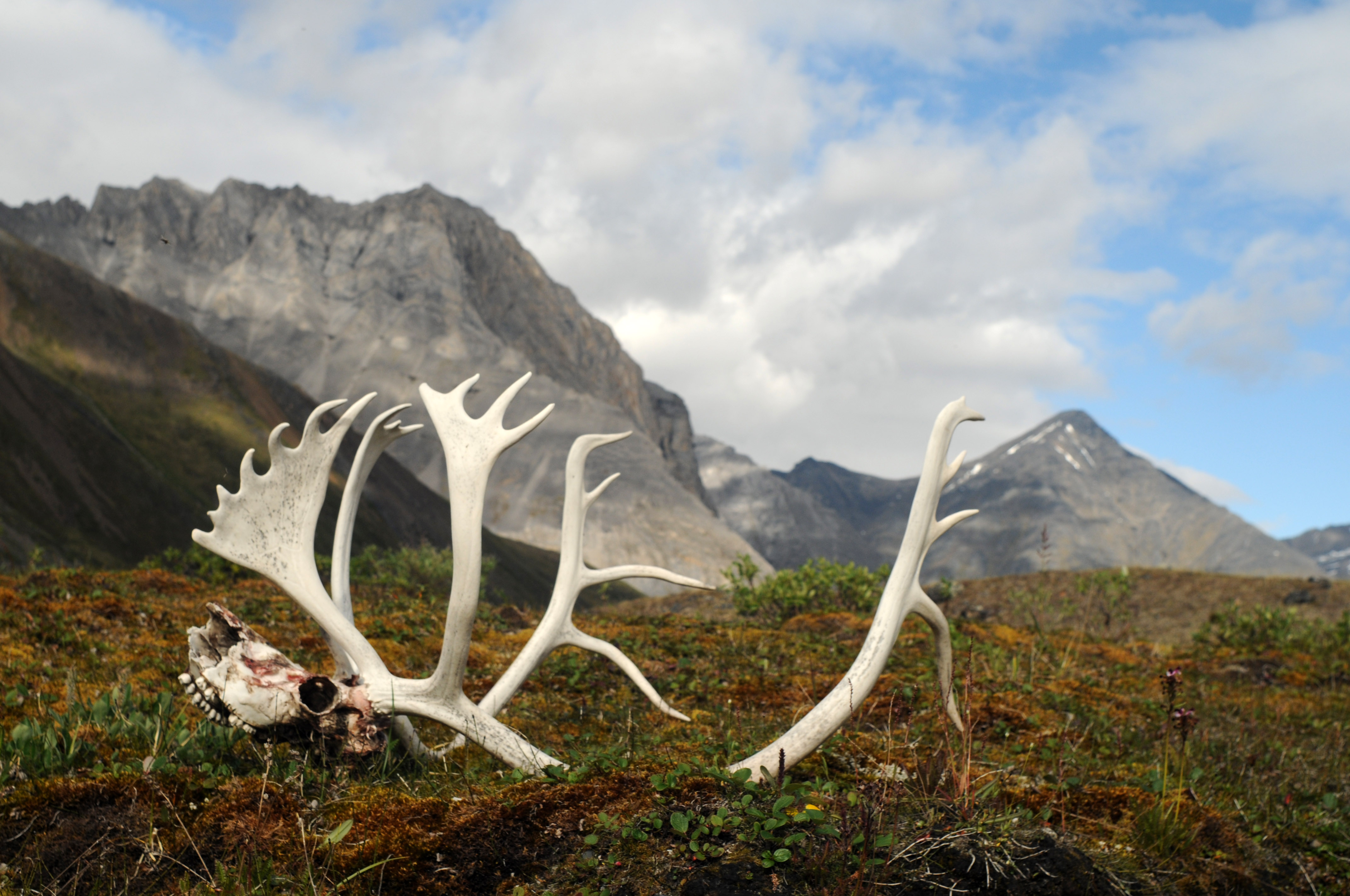 Gates Of The Arctic National Park And Preserve Wallpapers