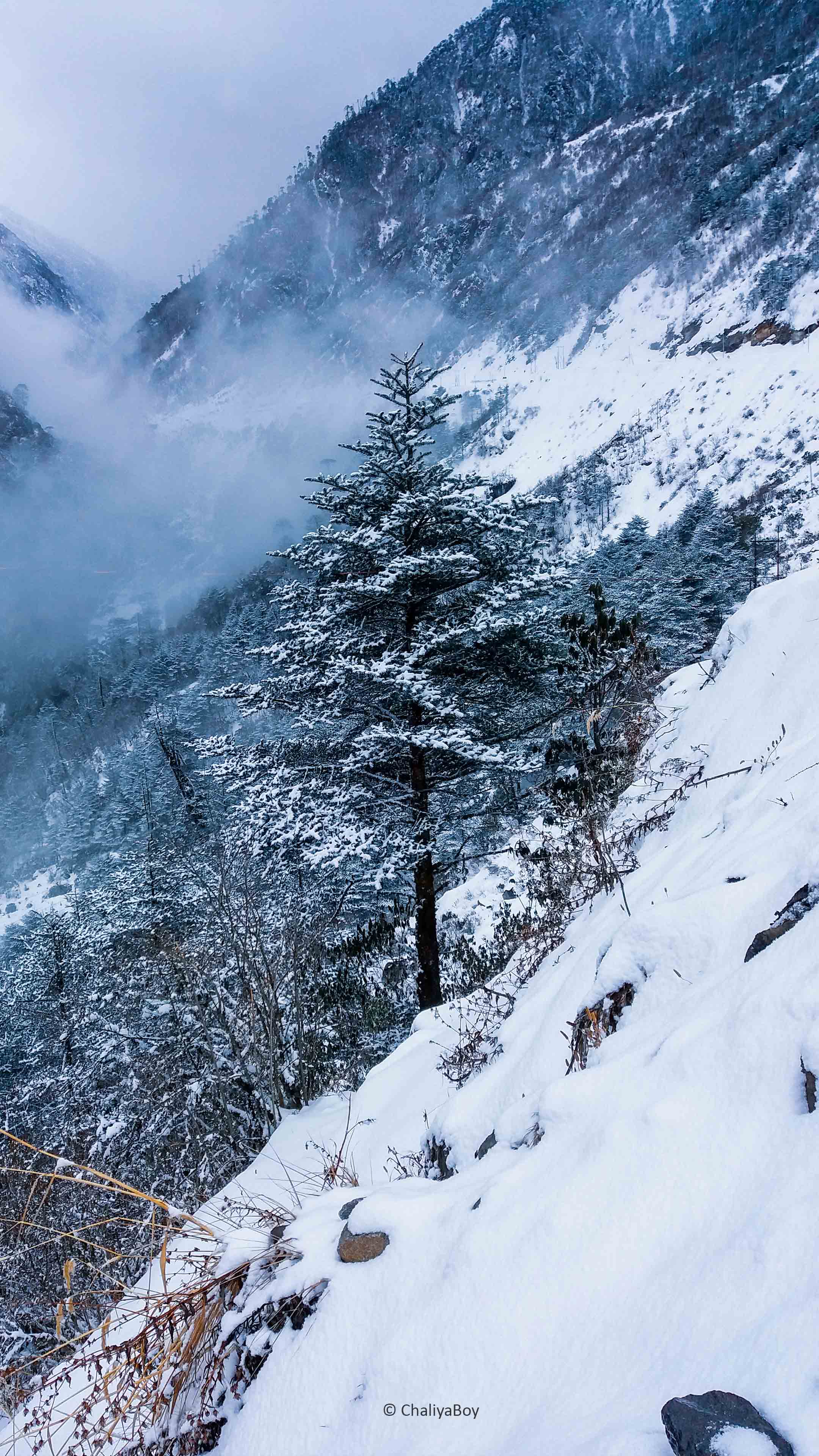 Glacier Hills At Winter Wallpapers