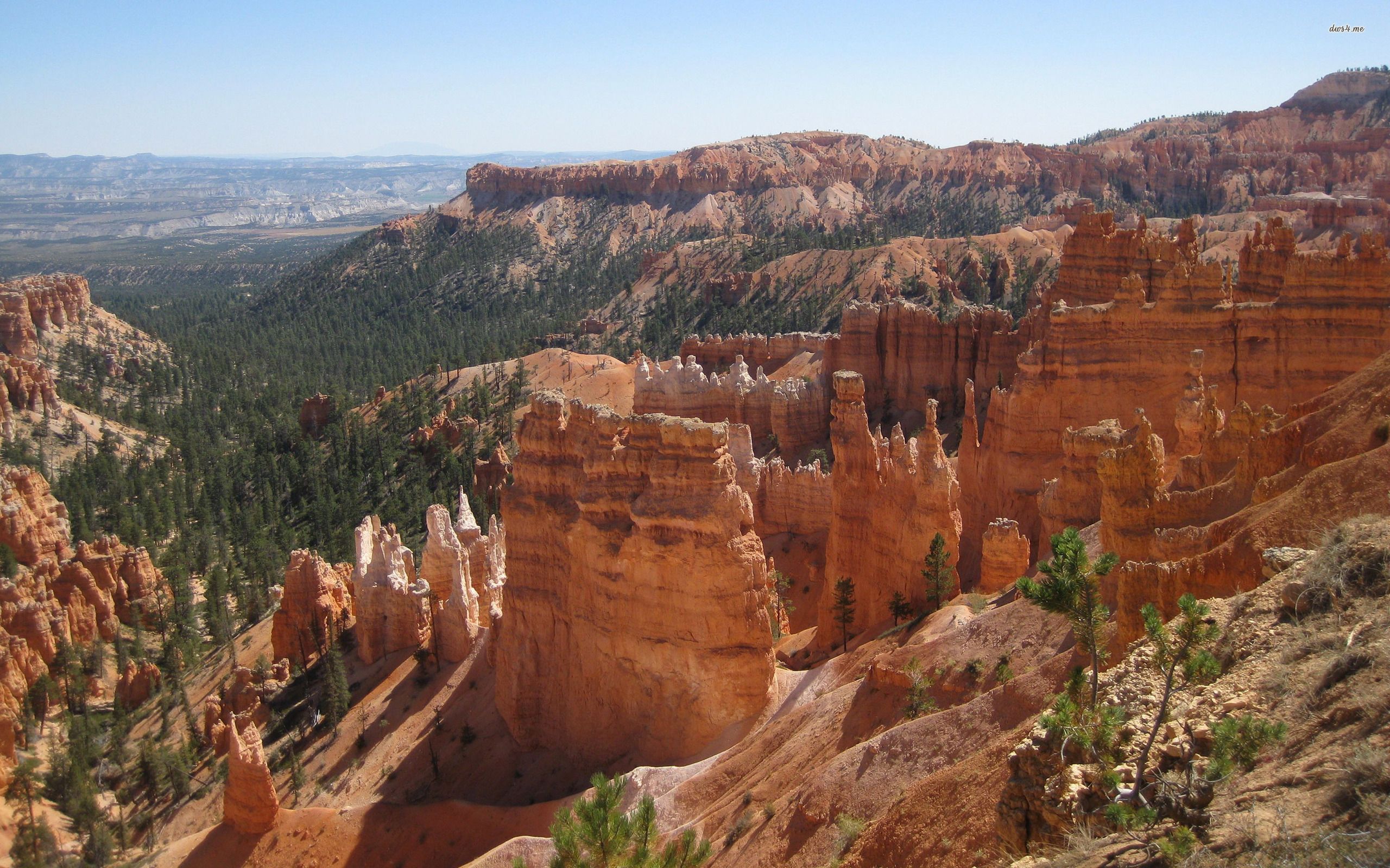 Grand Canyon National Park Wallpapers