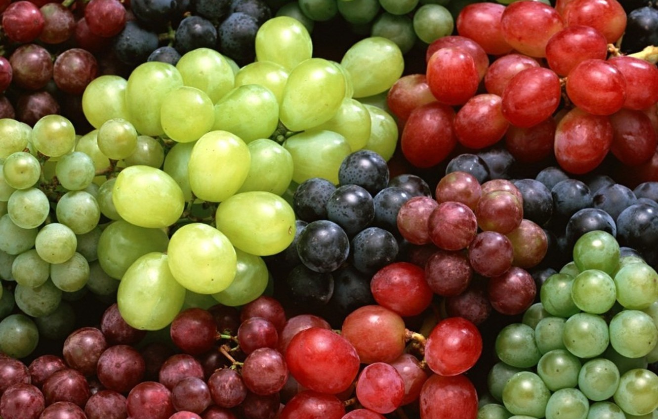 Grape Wallpapers