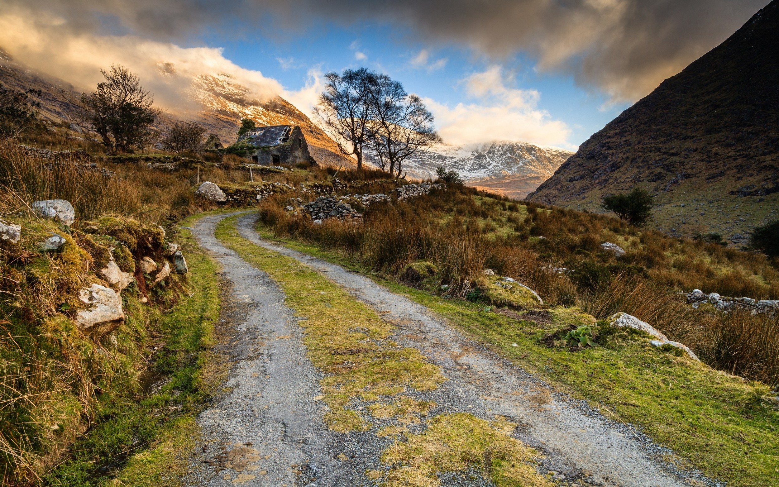 Grass Covered Mountain Road Wallpapers