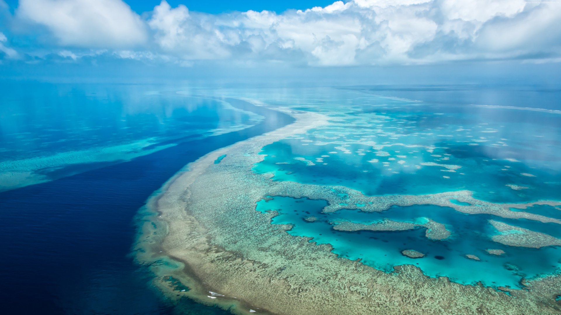 Great Barrier Reef Wallpapers