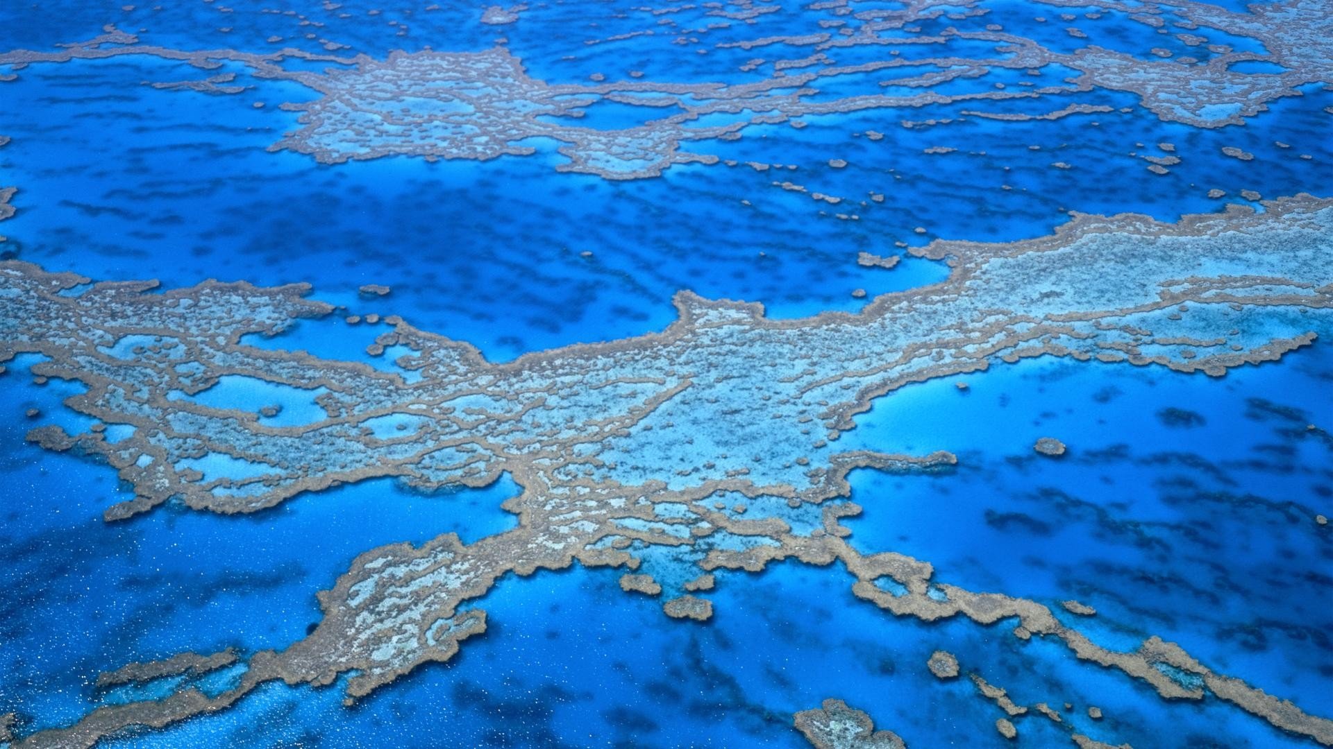 Great Barrier Reef Wallpapers