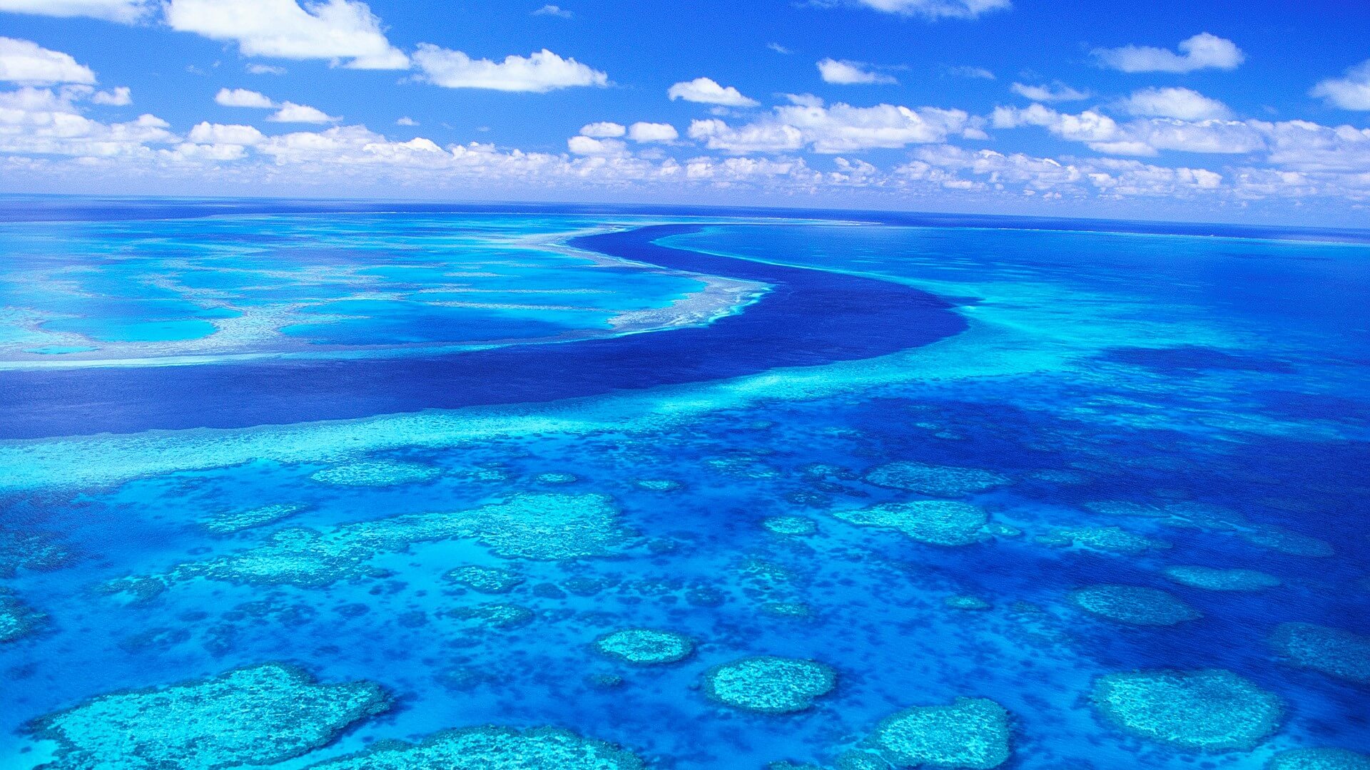 Great Barrier Reef Wallpapers