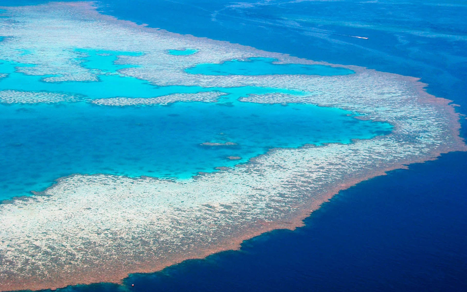 Great Barrier Reef Wallpapers