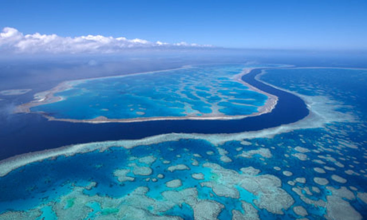 Great Barrier Reef Wallpapers