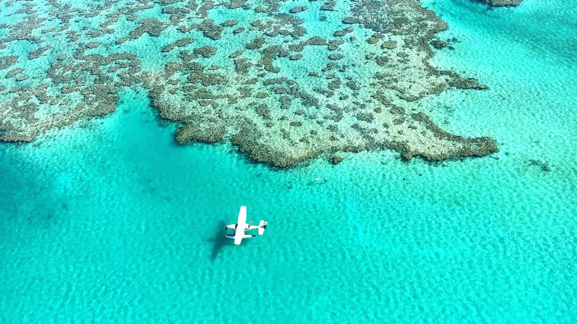 Great Barrier Reef Wallpapers