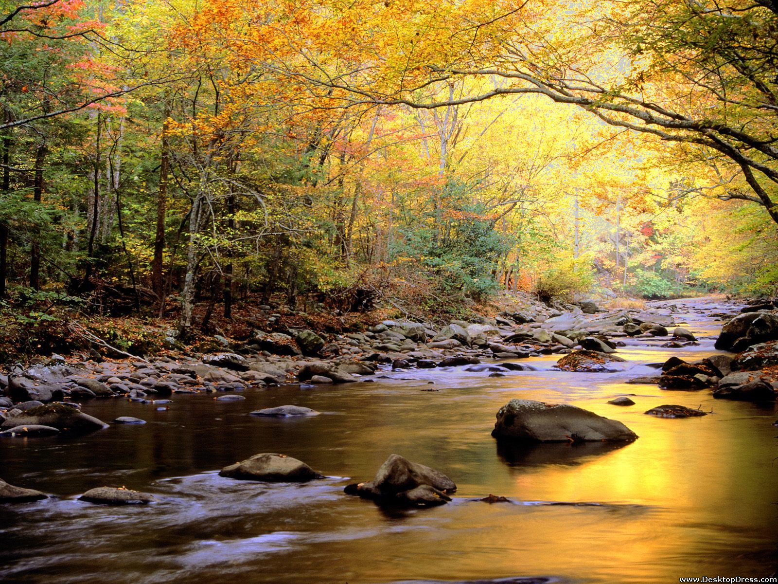 Great Smoky Mountains National Park Wallpapers