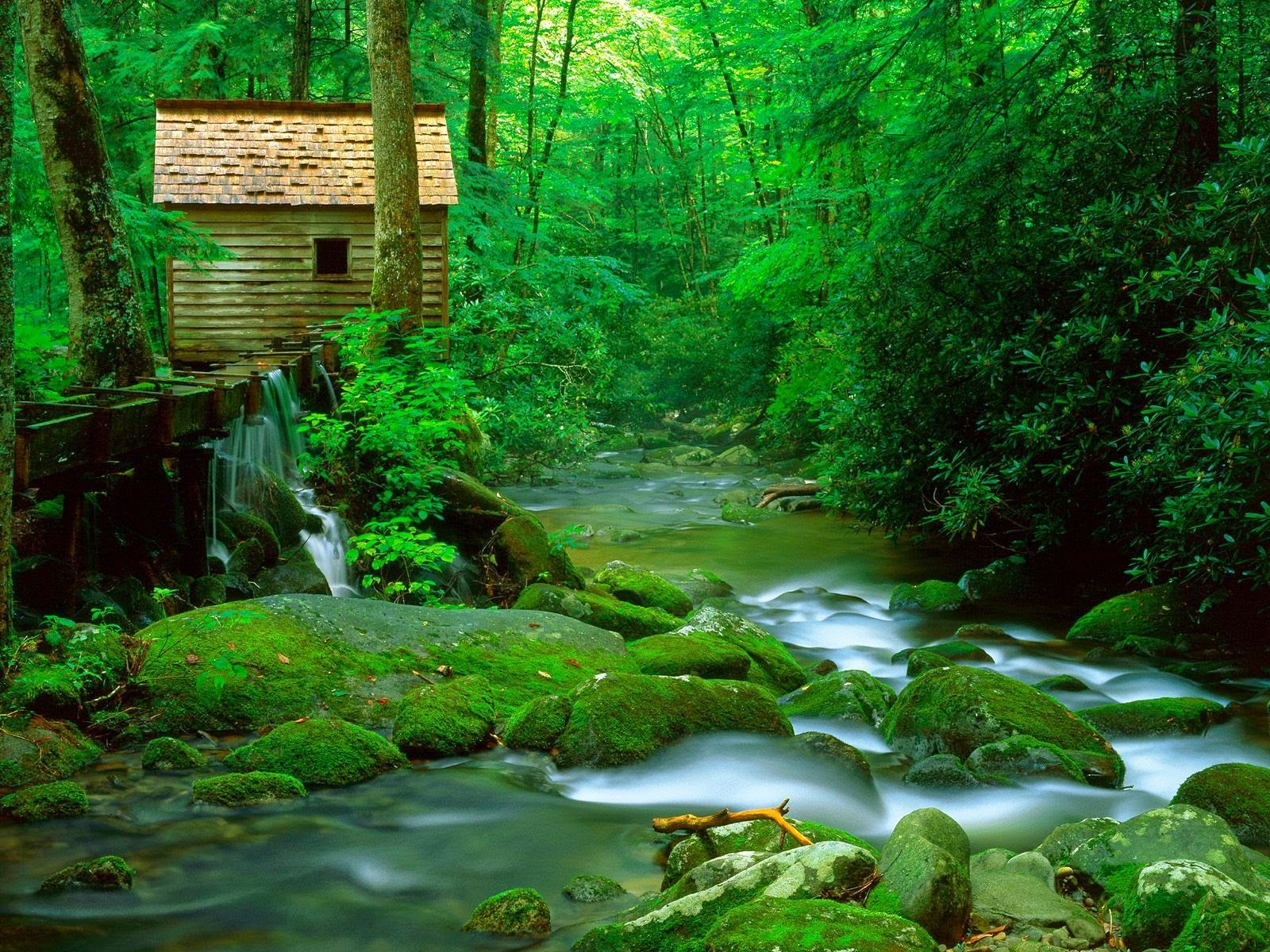 Great Smoky Mountains National Park Wallpapers