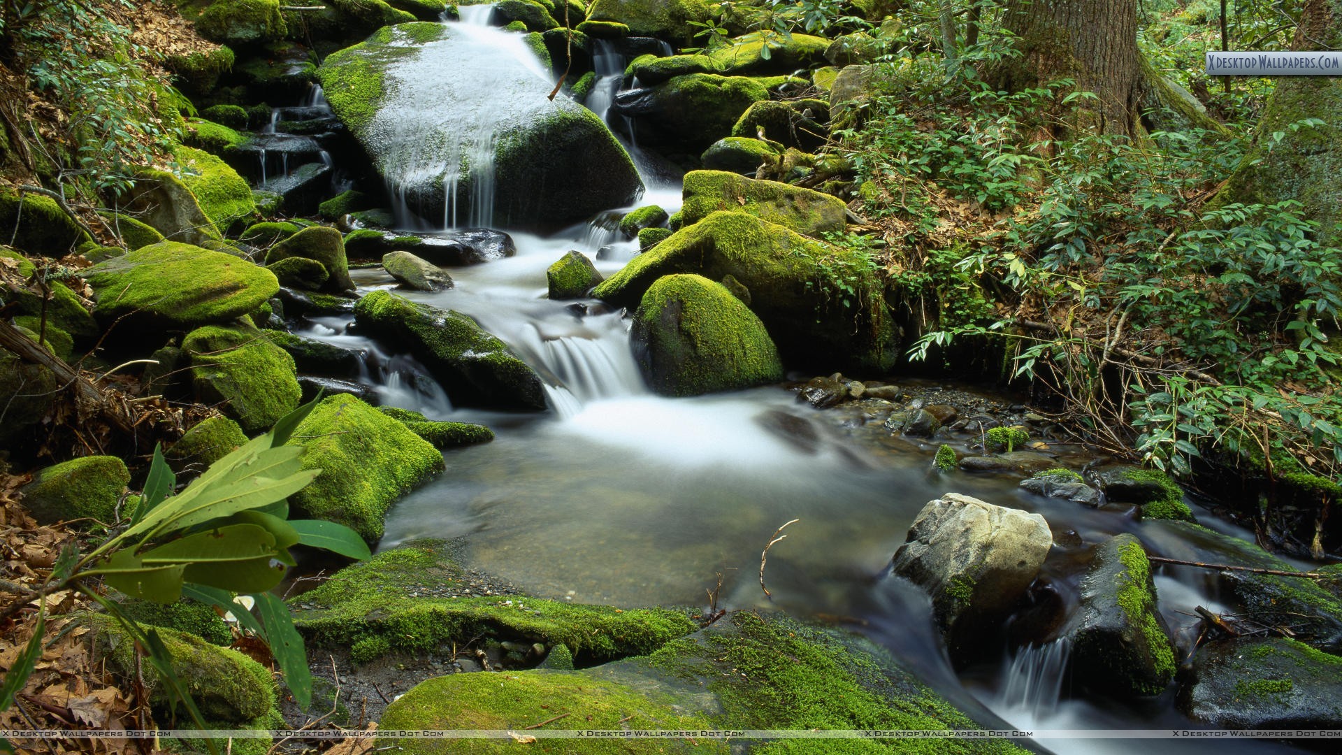 Great Smoky Mountains National Park Wallpapers