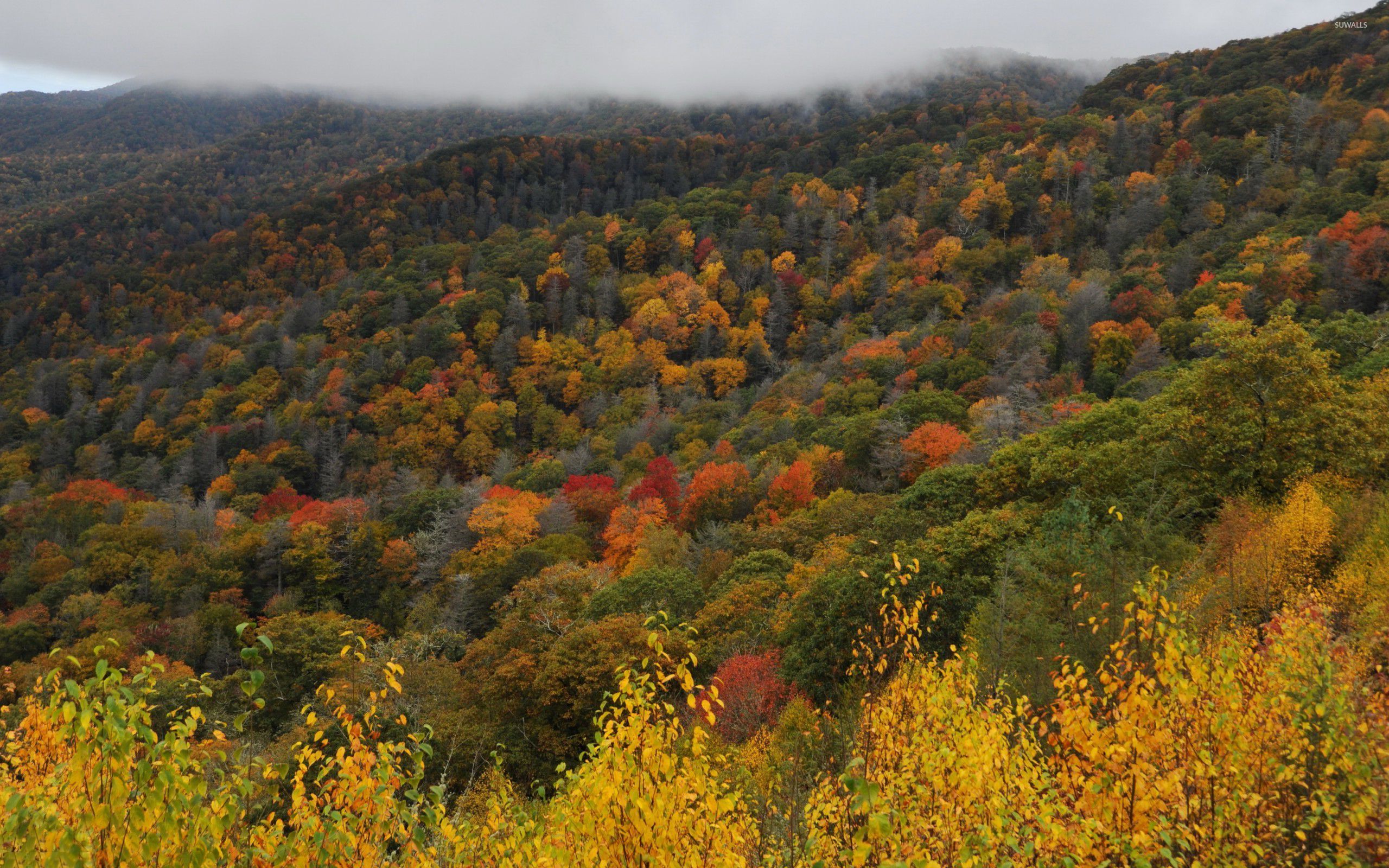 Great Smoky Mountains National Park Wallpapers