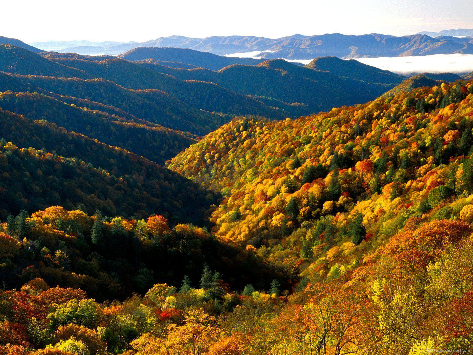 Great Smoky Mountains National Park Wallpapers