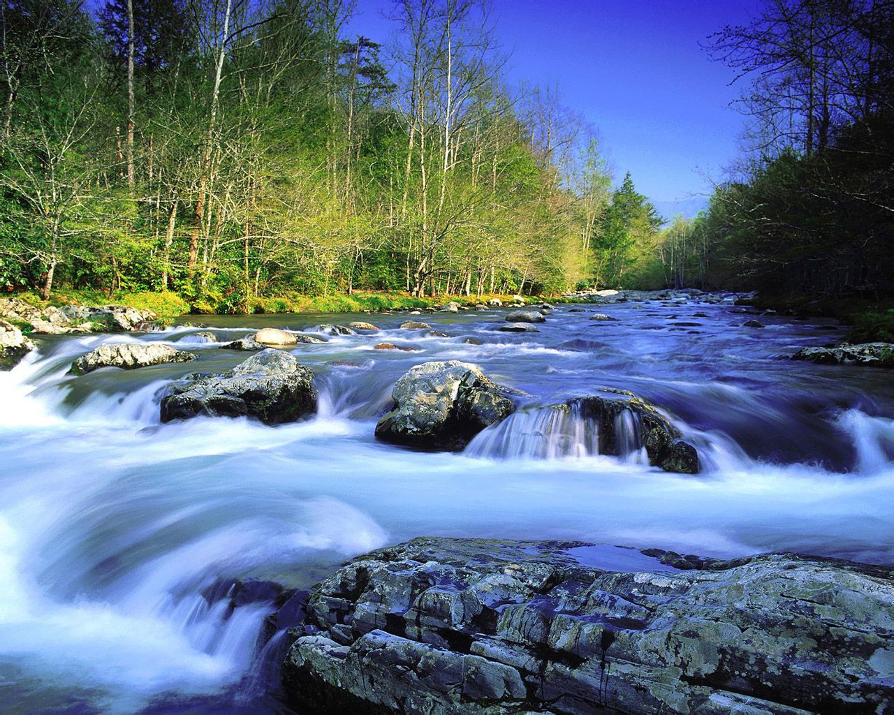 Great Smoky Mountains National Park Wallpapers