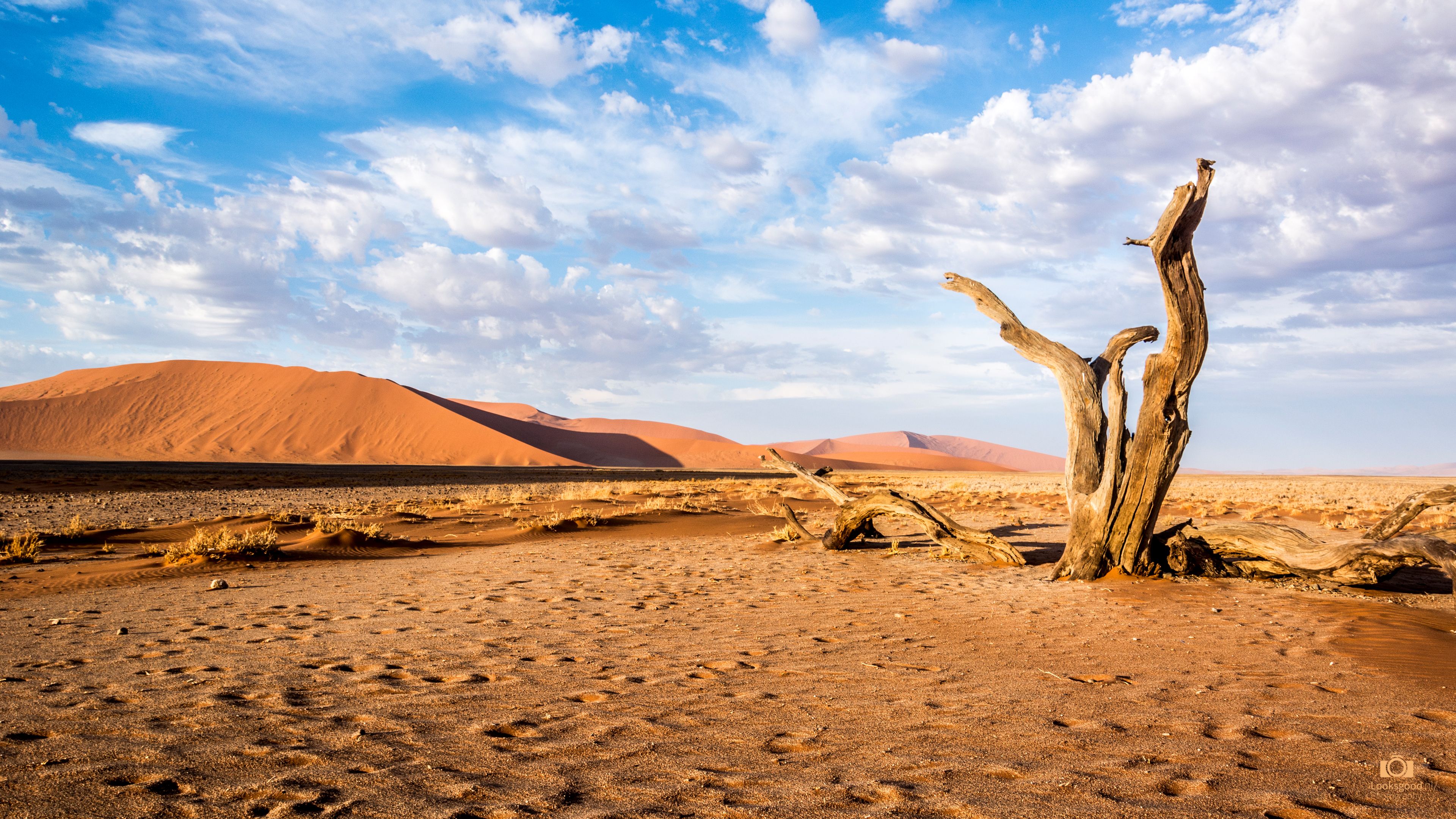 Great Wall Of Namib Wallpapers