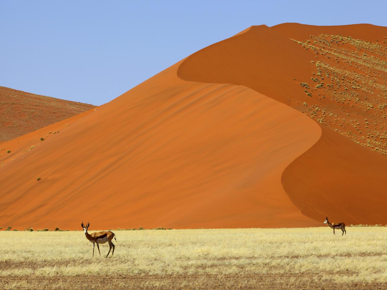 Great Wall Of Namib Wallpapers