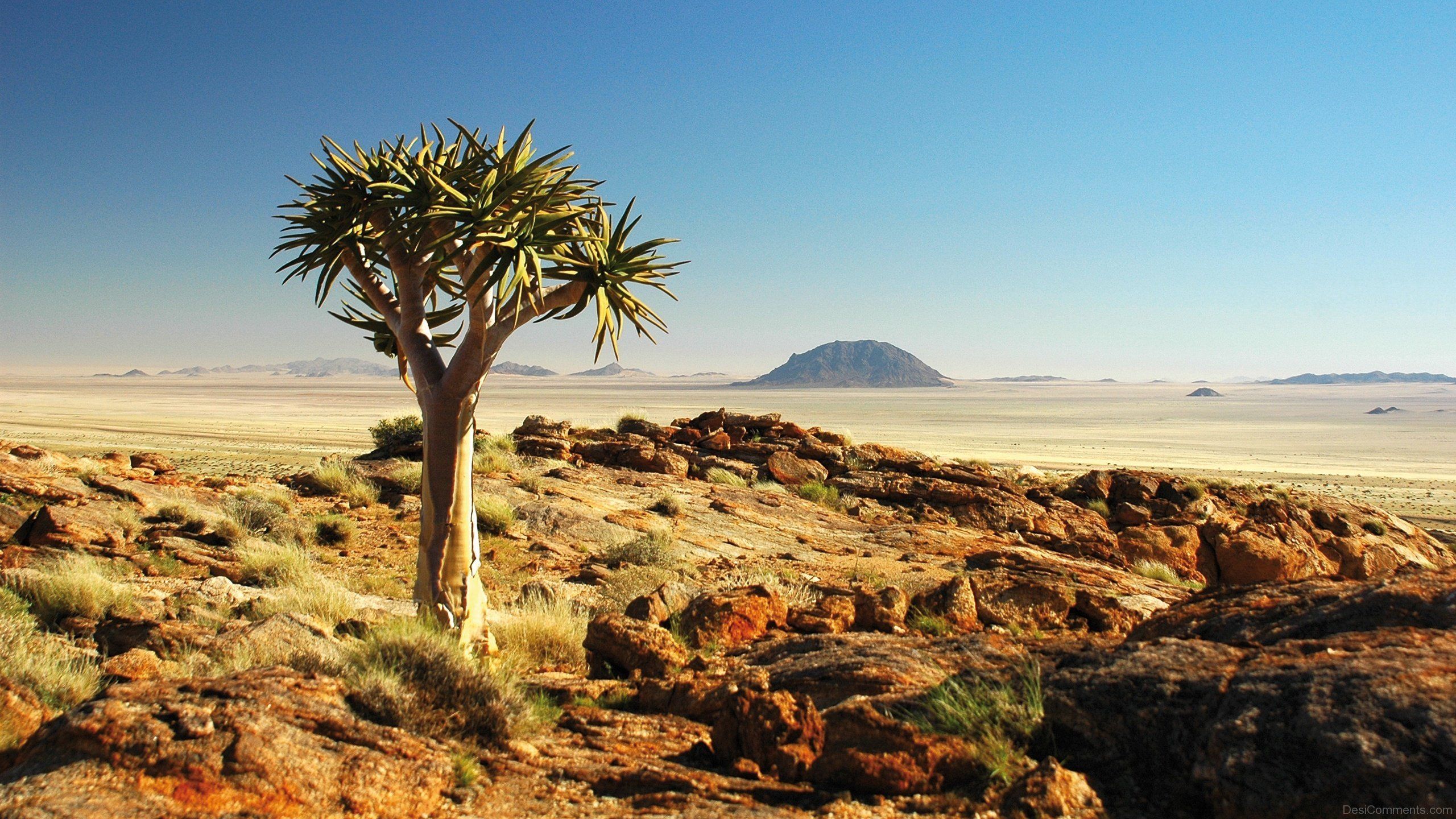 Great Wall Of Namib Wallpapers